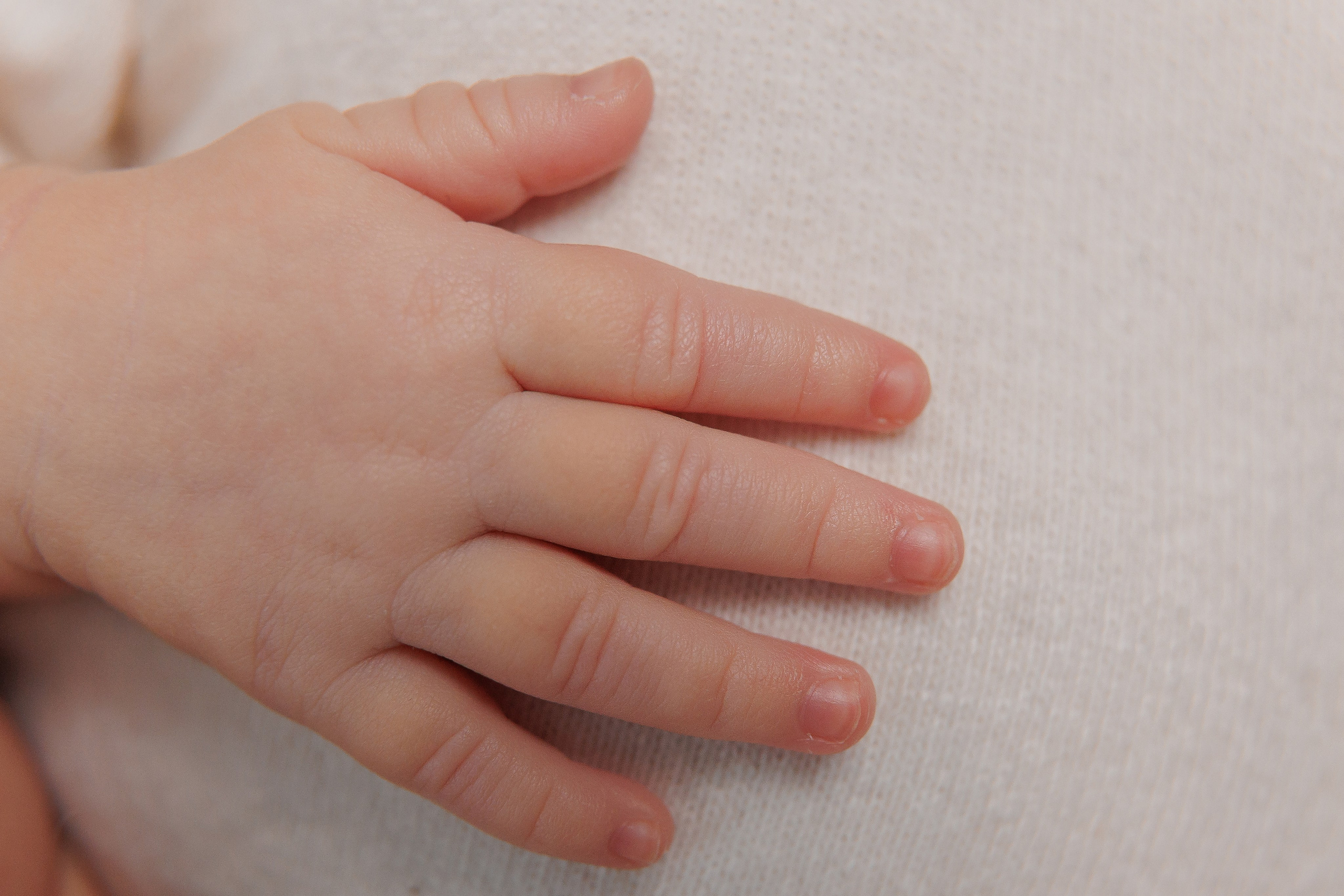 Newborn. Фотограф Лодейное Поле Екатерина Герасимова в Санкт-Петербурге и Лен. области