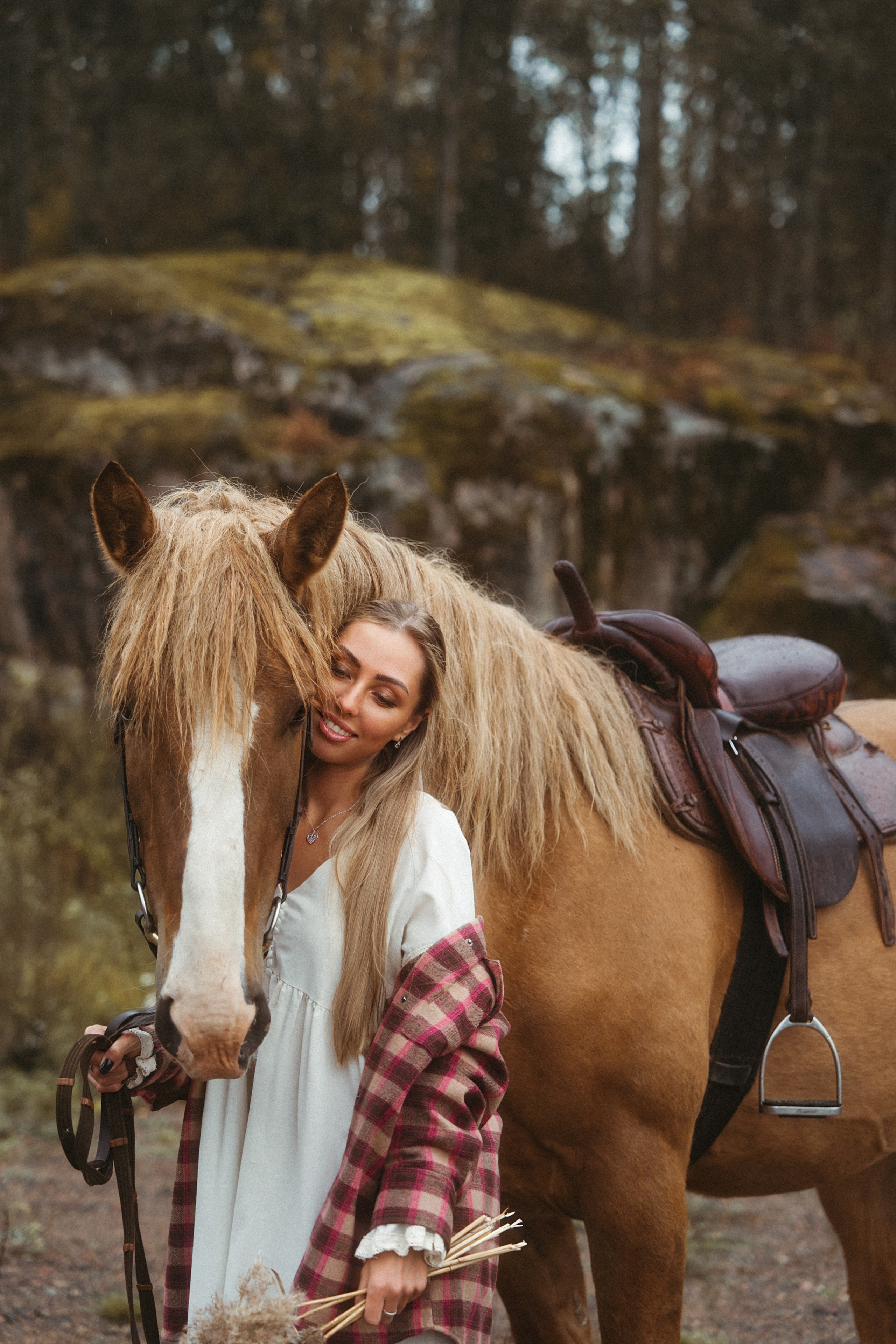 Конные. Главная