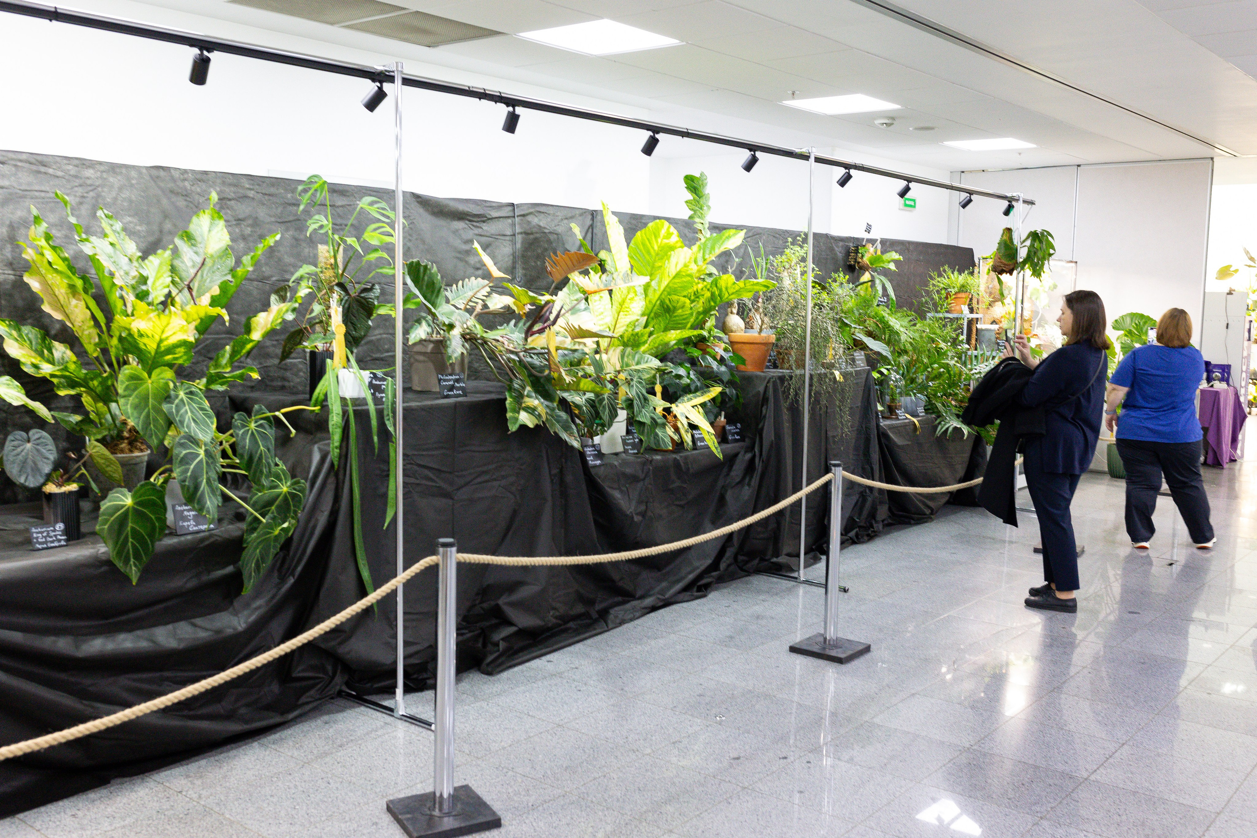 Монстериум апрель 2025. Александра Куликова фотограф, Москва