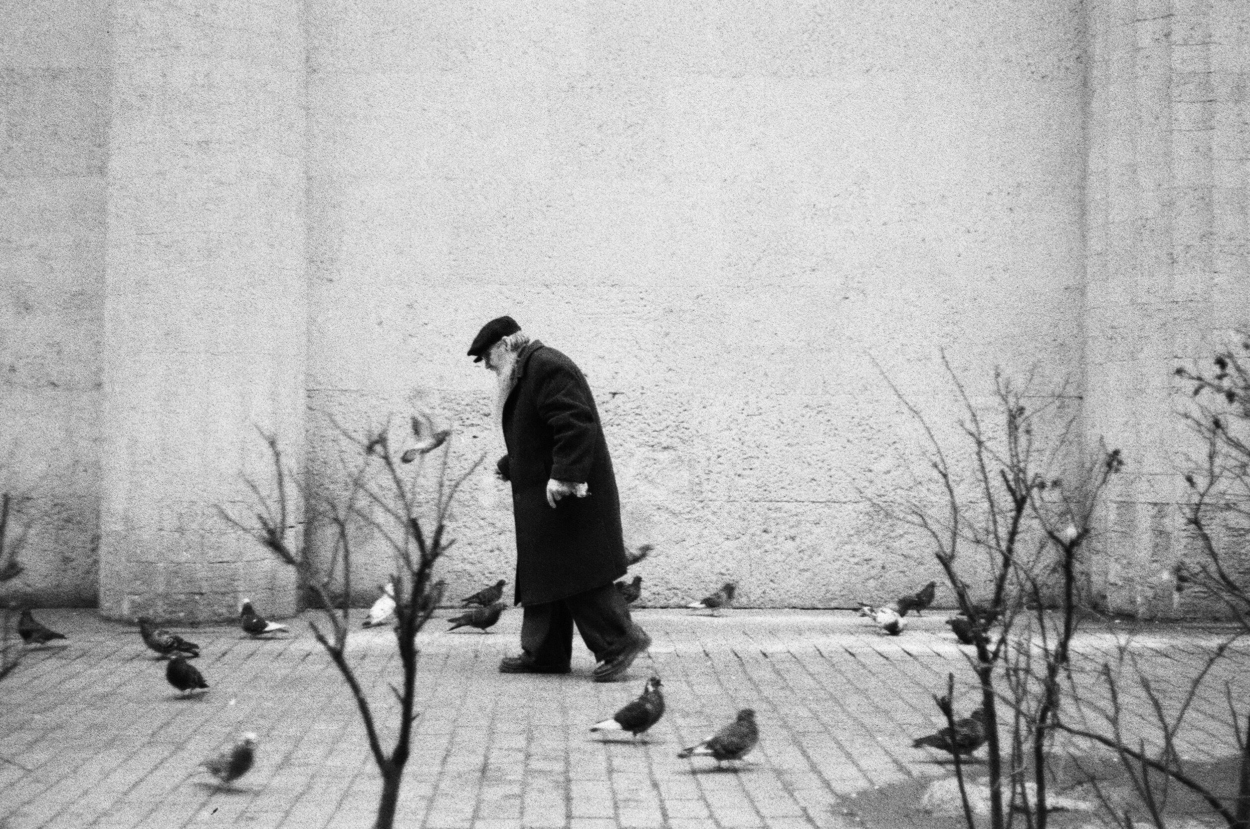 Стрит. Фотограф — Маслеников Константин