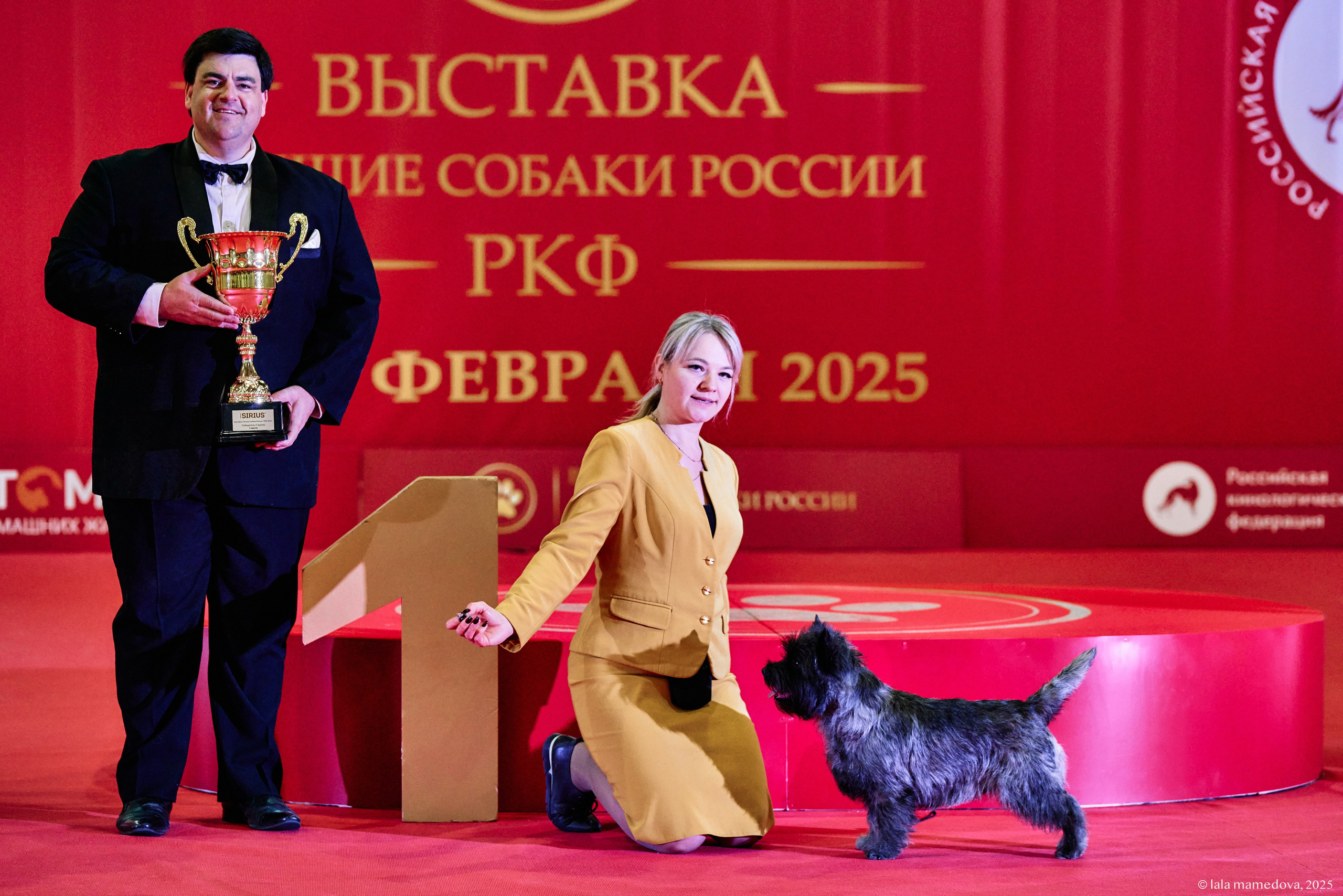 ЛУЧШИЕ СОБАКИ РОССИИ РКФ 2025