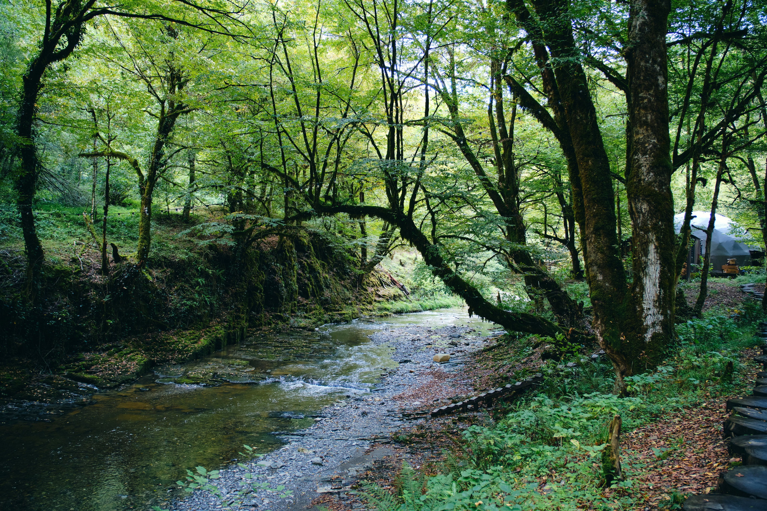 Сказочная свадьба Насти и Максима. Главная