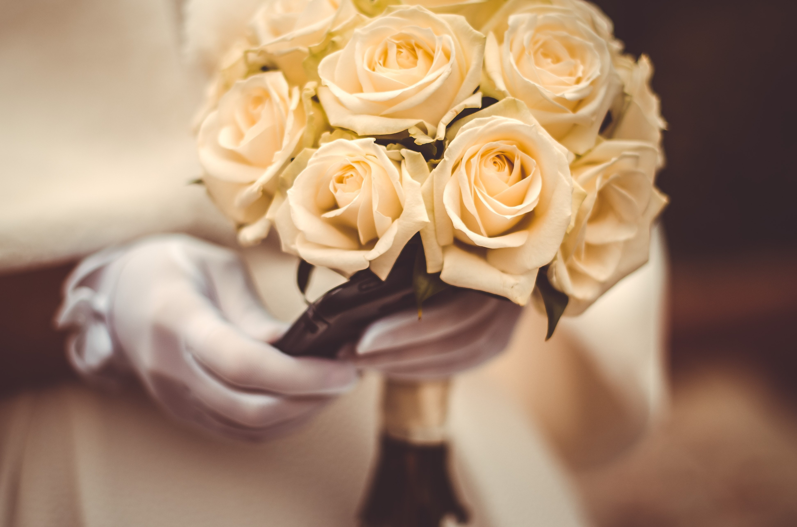 Свадебная фотография. Арт студия «Пегас». Фото- и видео- съемка