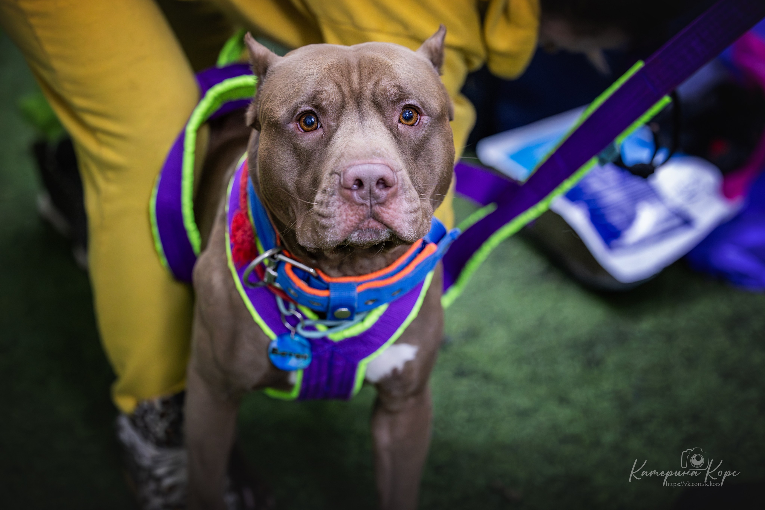 Спорт. Главная