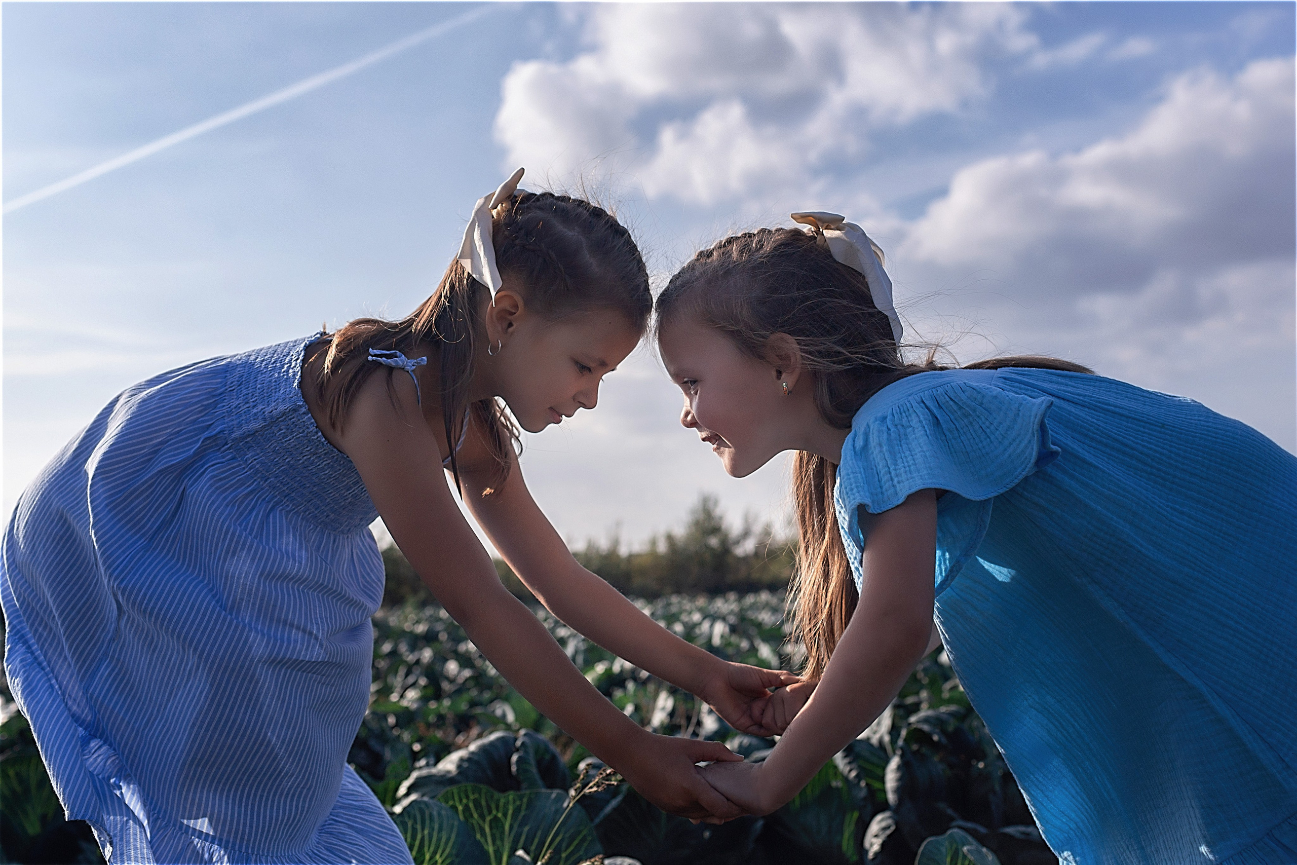 Капустное поле_Ленинградская область. Семейный фотограф в Санкт-Петербурге