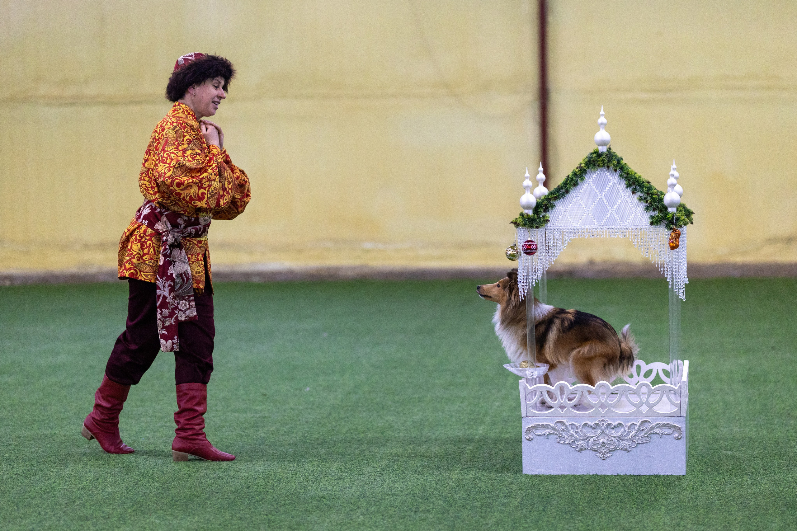 Соревнования танцы. Фотограф-анималист в Москве Кириллова Татьяна