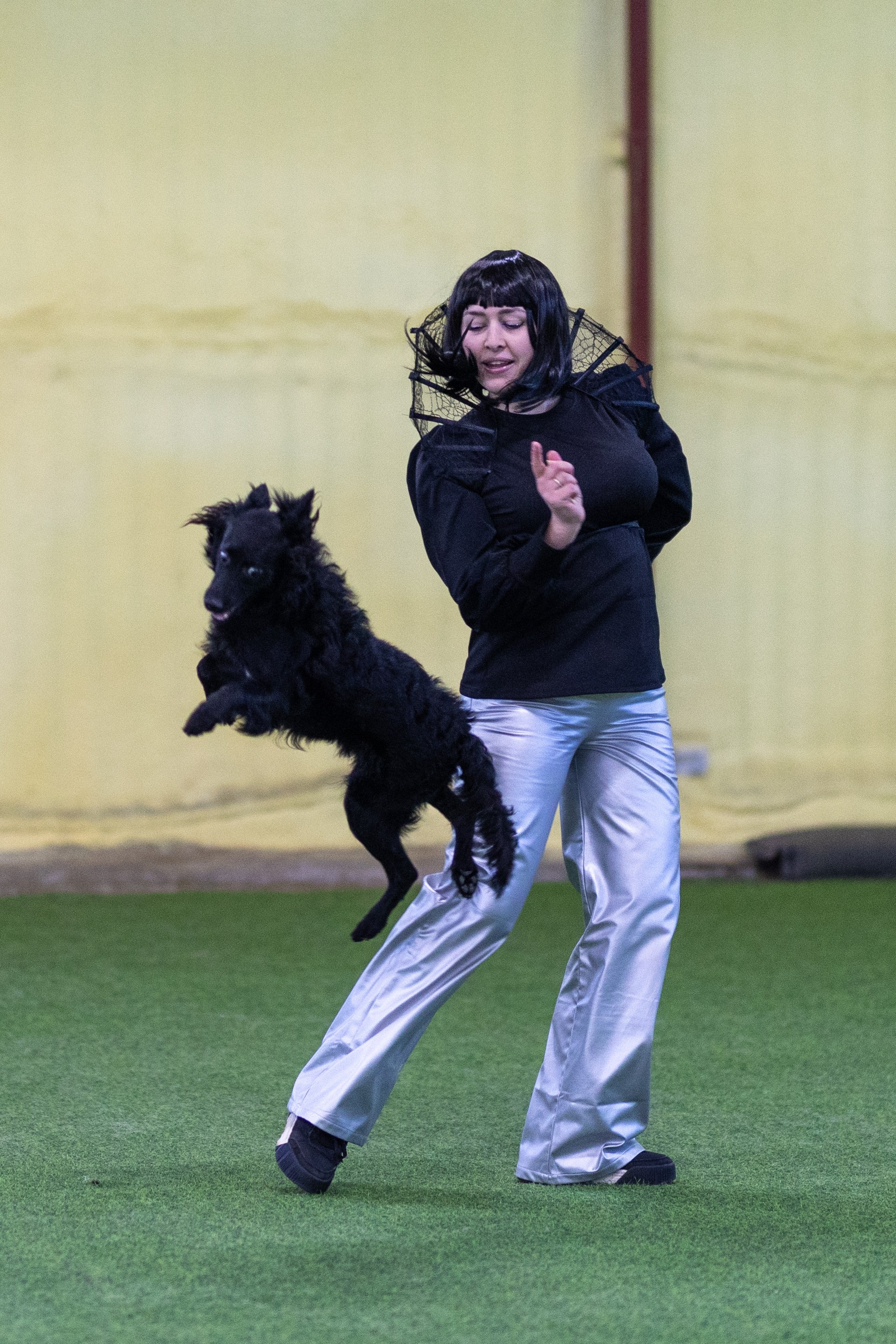 Соревнования танцы. Фотограф-анималист в Москве Кириллова Татьяна