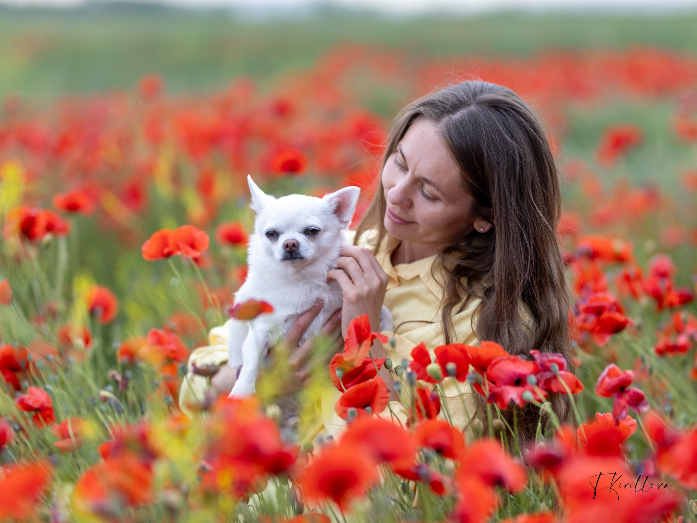 Зефир и Алена. Фотограф-анималист в Москве Кириллова Татьяна