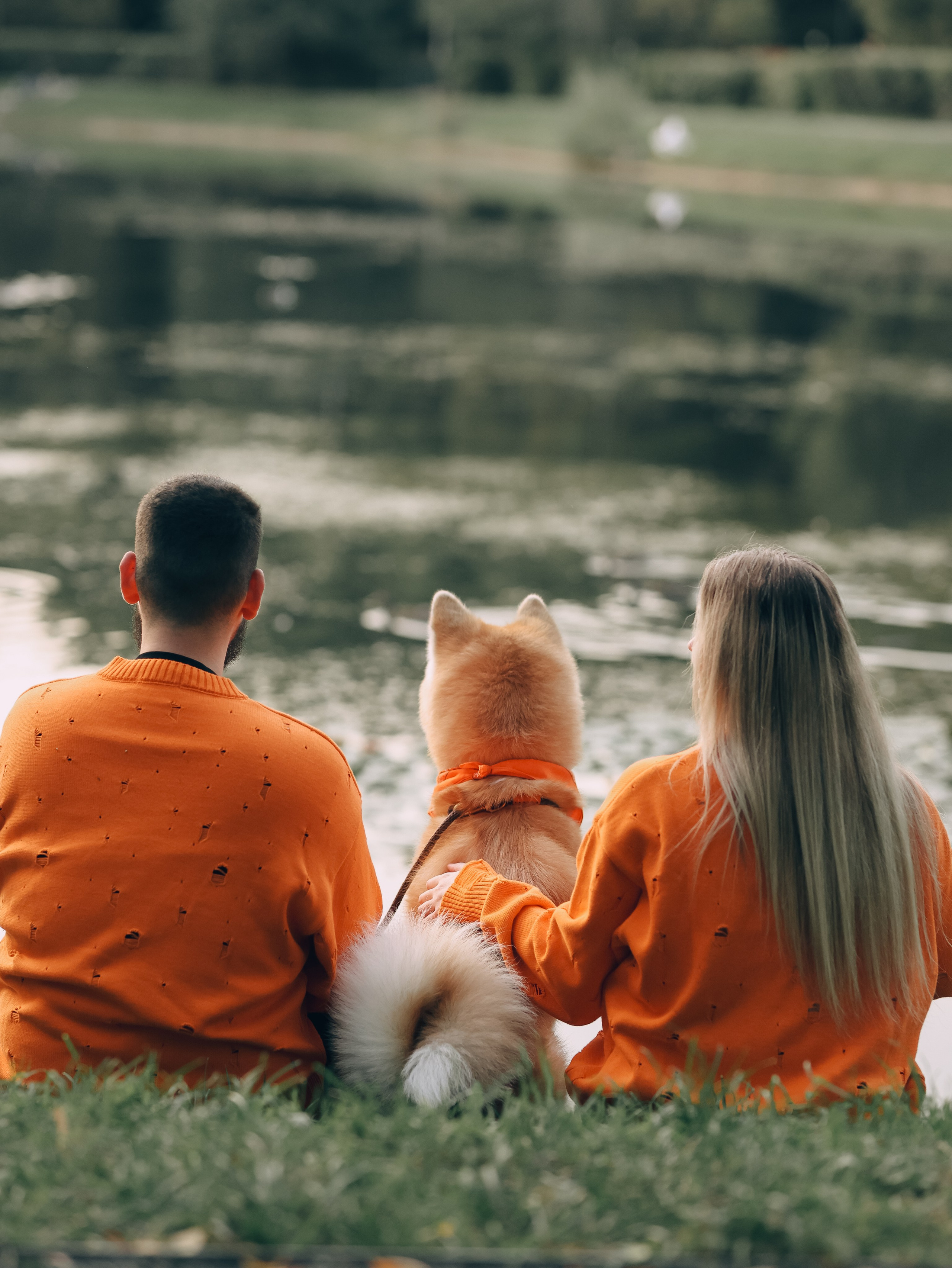 Гранд, Вика и Степан. Фотограф-анималист в Москве Кириллова Татьяна