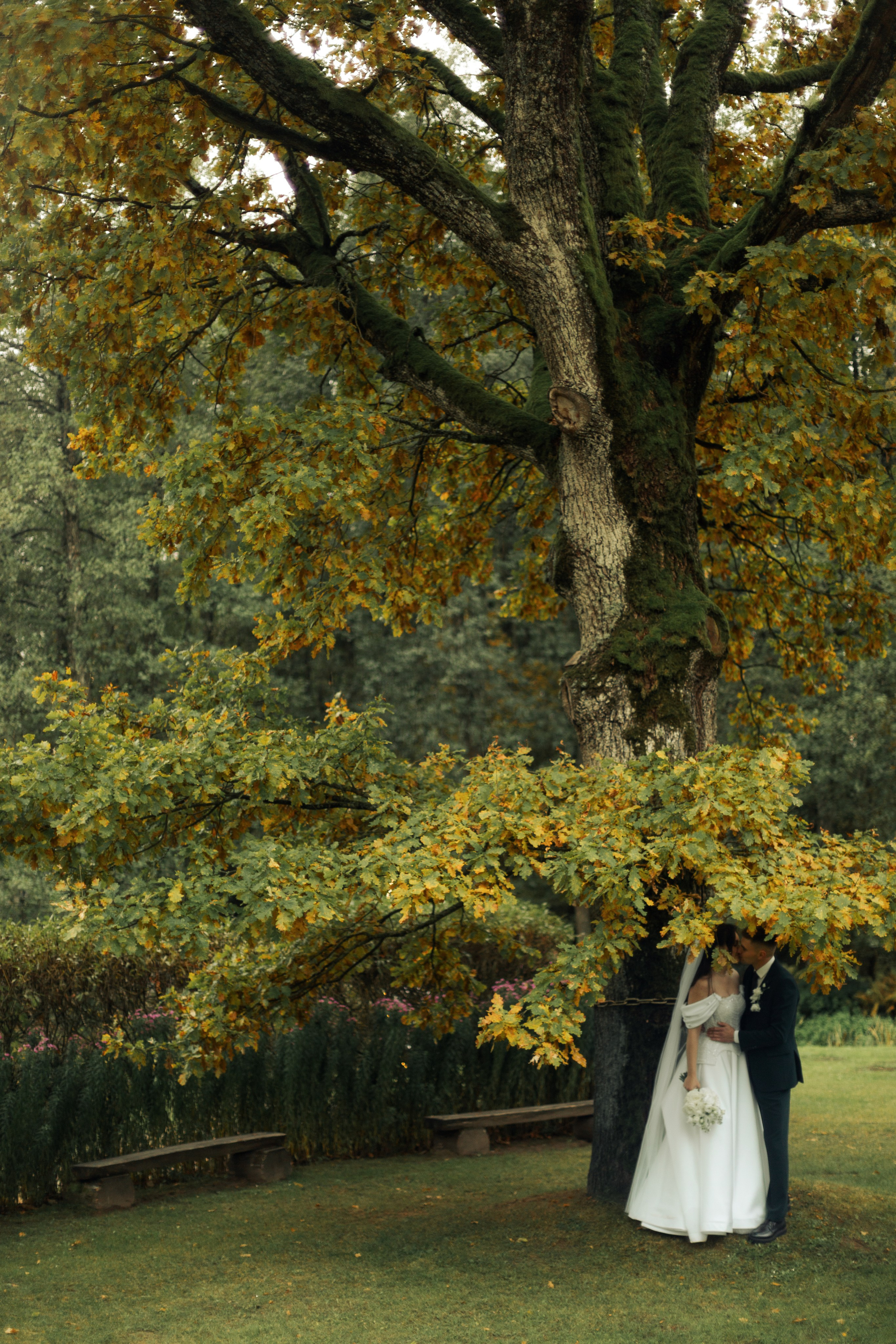 WEDDING W&K. ABRAZ