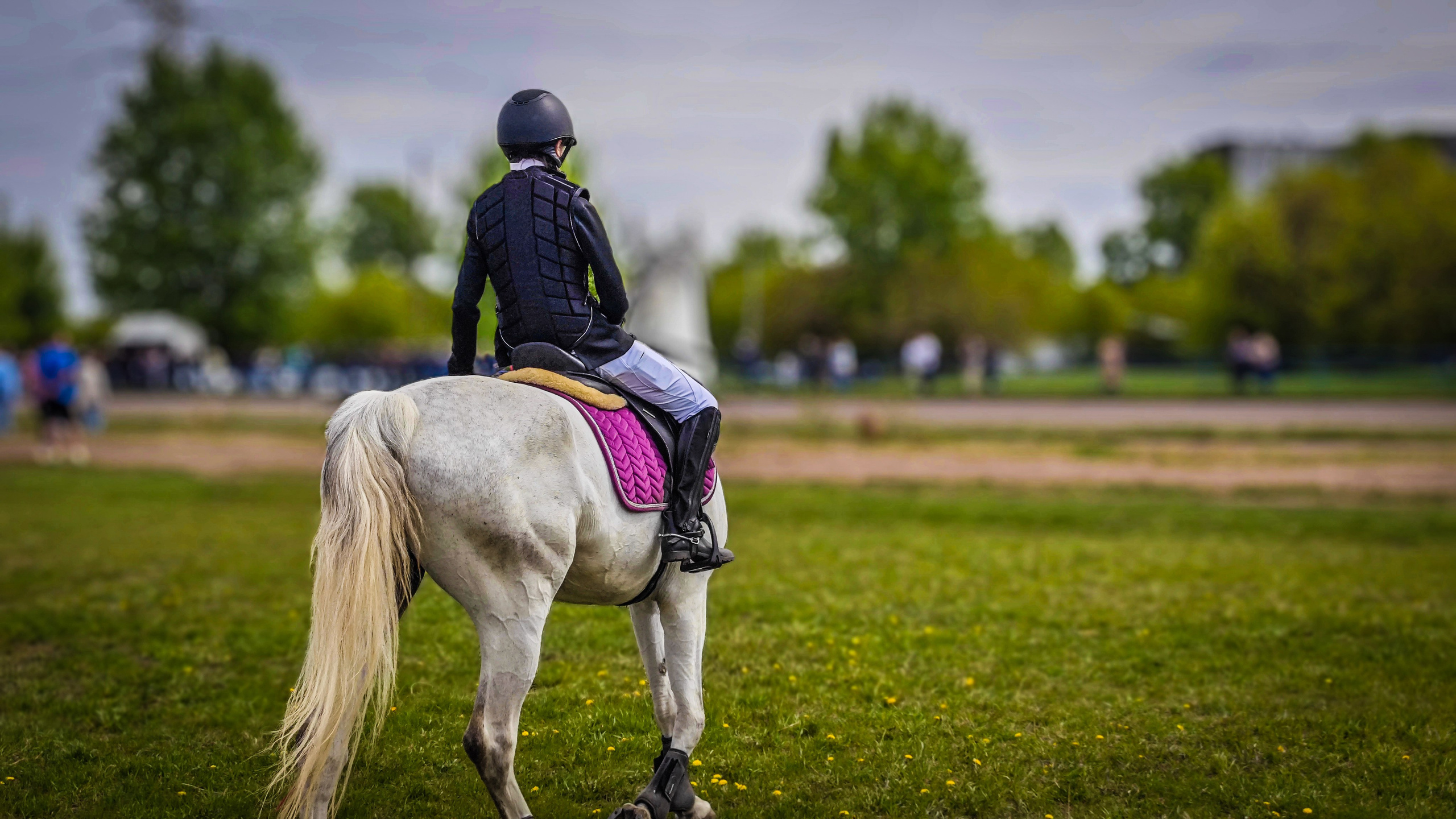 Красноярский ипподром. Открытие сезона 2025. Игорь Урывский. Фотограф Красноярск
