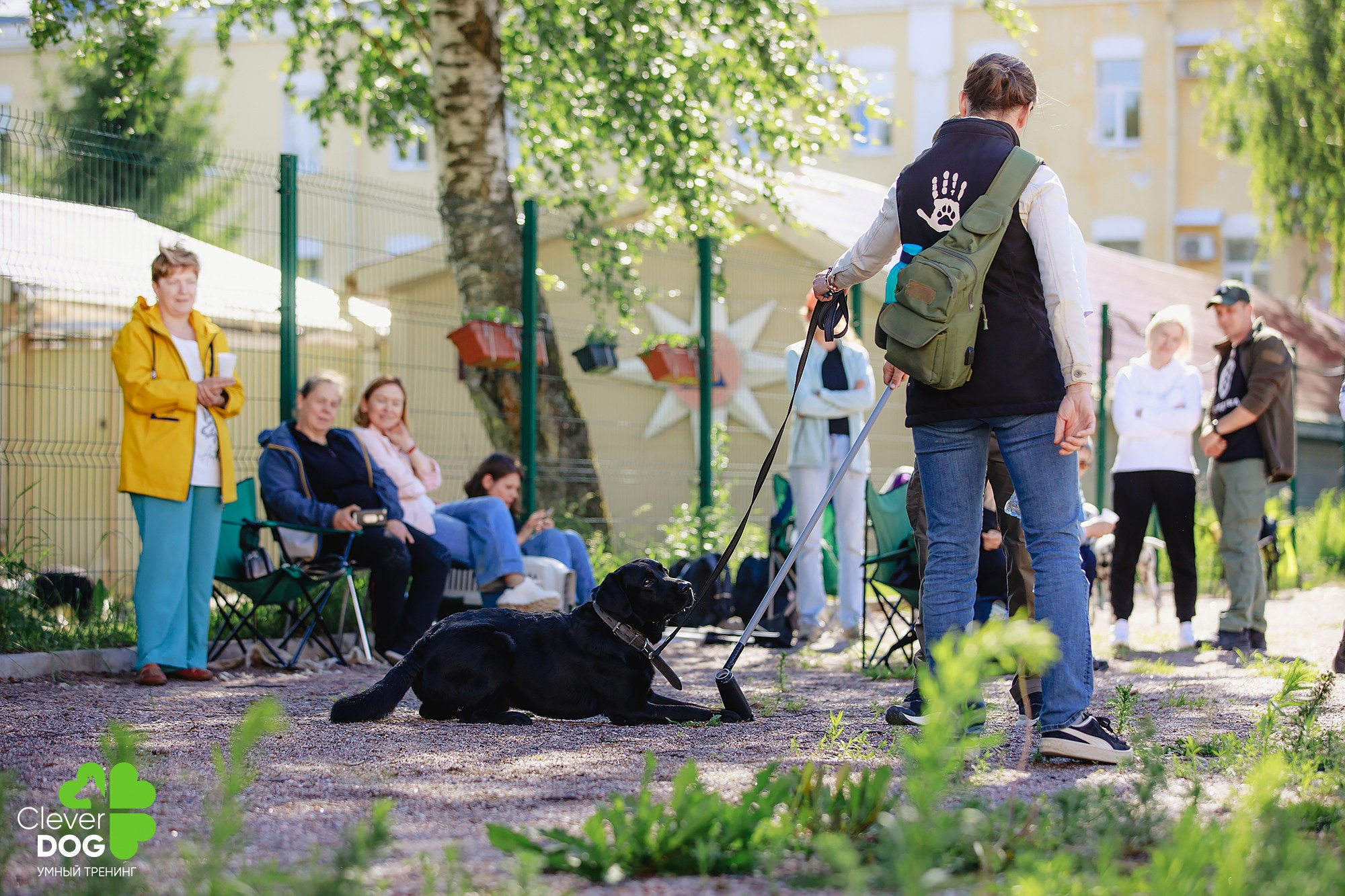 Семинар по поиску запаха с Иваном Ломовым, организатор CleverDog, СПб. Фотограф-анималист Mary Mart — Москва, Питер