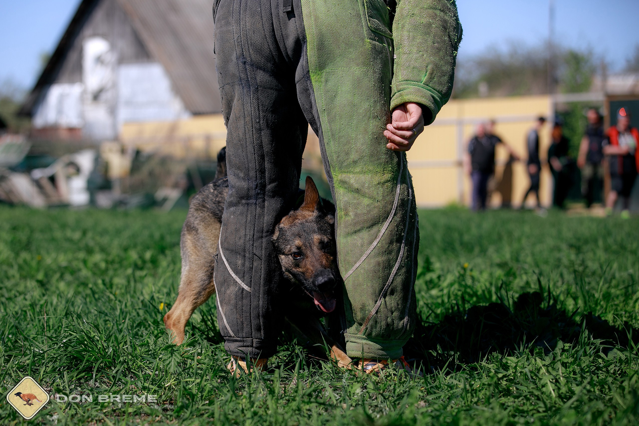 Семинар для фигурантов, день 3. Фотограф-анималист Mary Mart — Москва, Питер