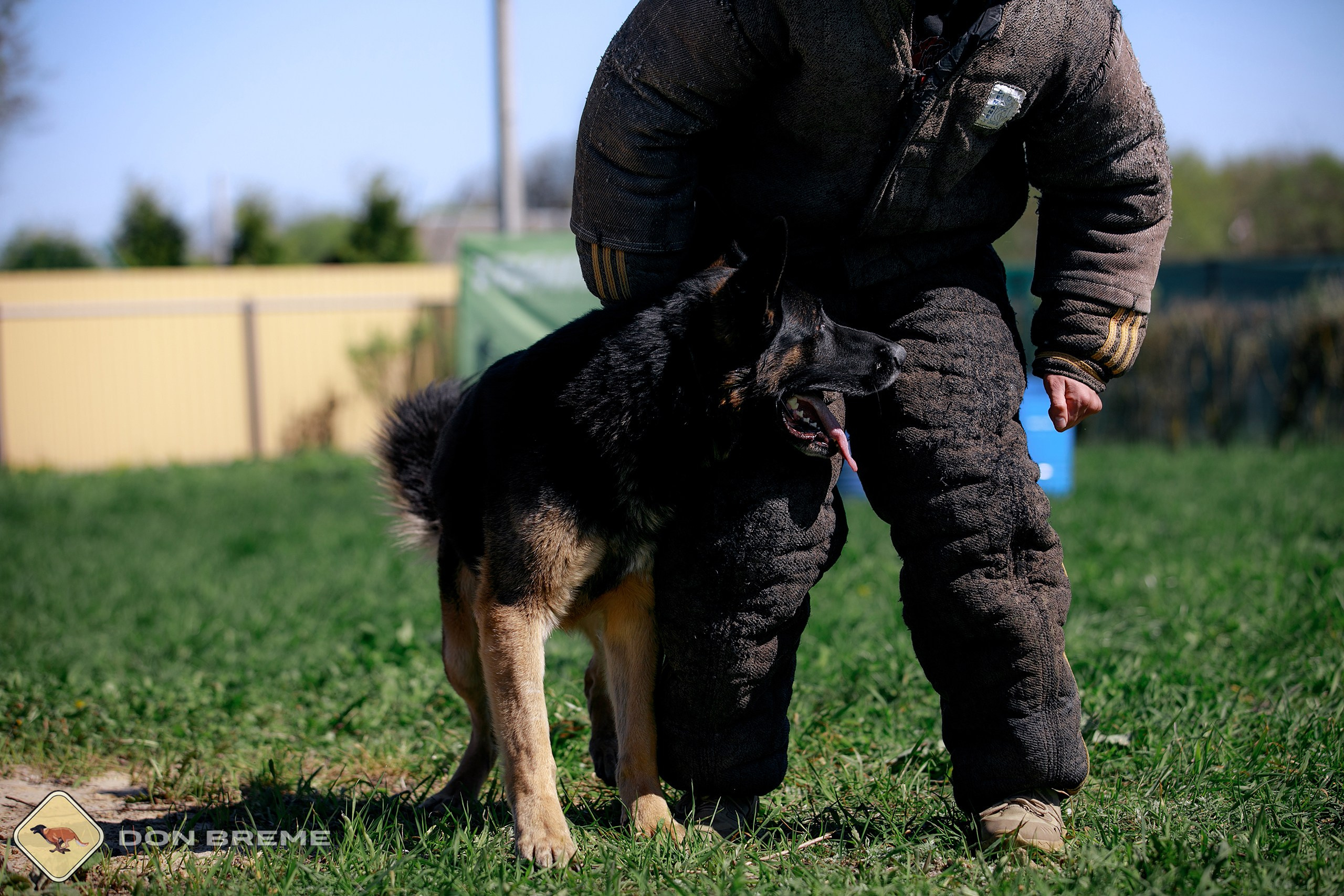 Семинар для фигурантов, день 3. Фотограф-анималист Mary Mart — Москва, Питер