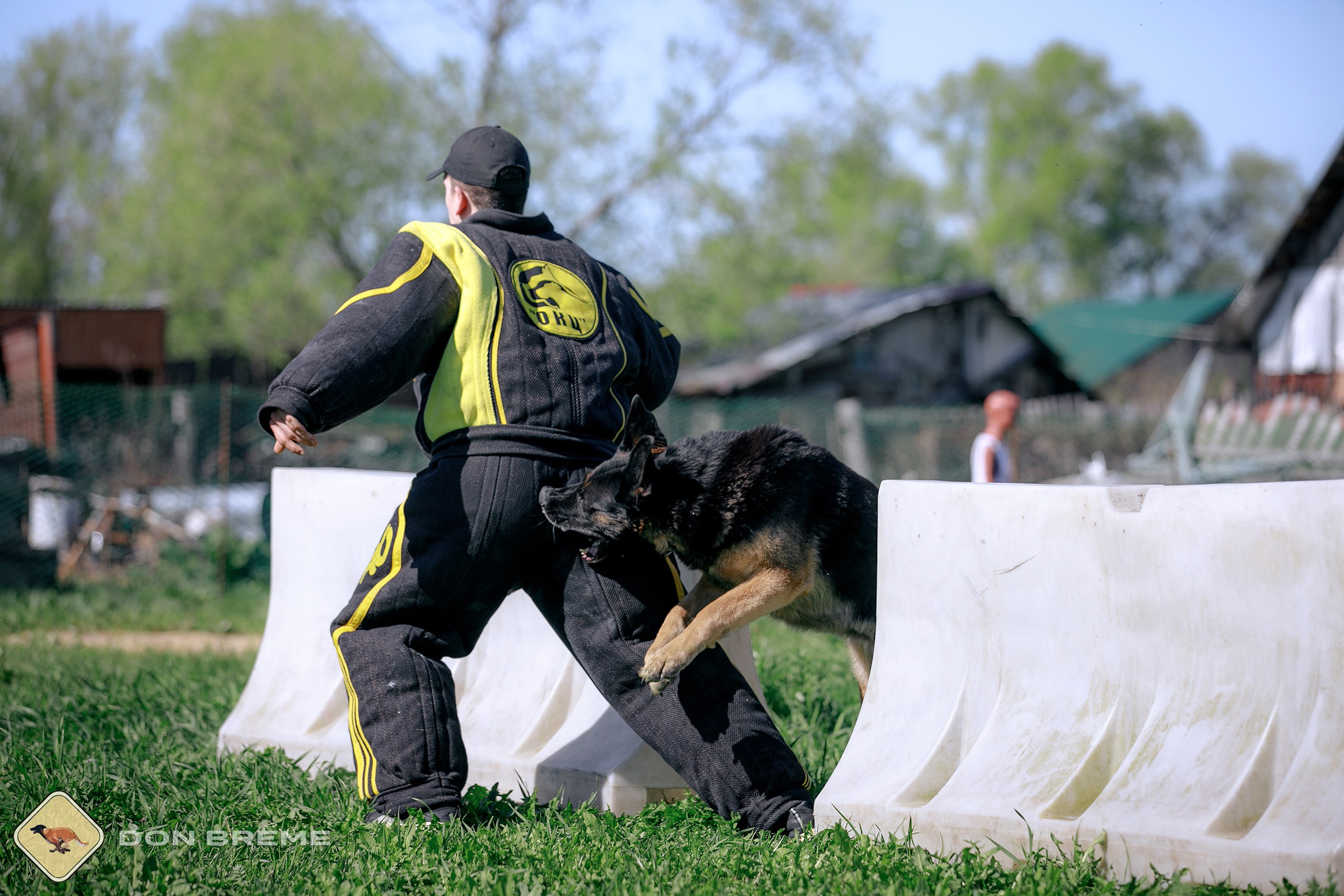 Семинар для фигурантов, день 3. Фотограф-анималист Mary Mart — Москва, Питер