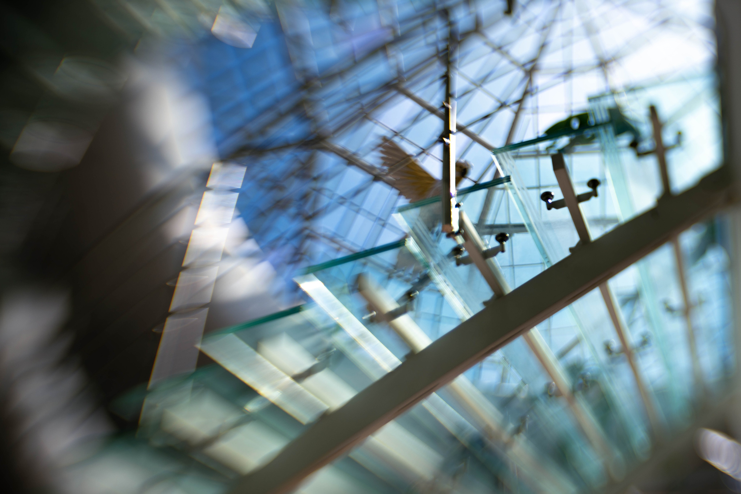 Автор: Анна Чаплай