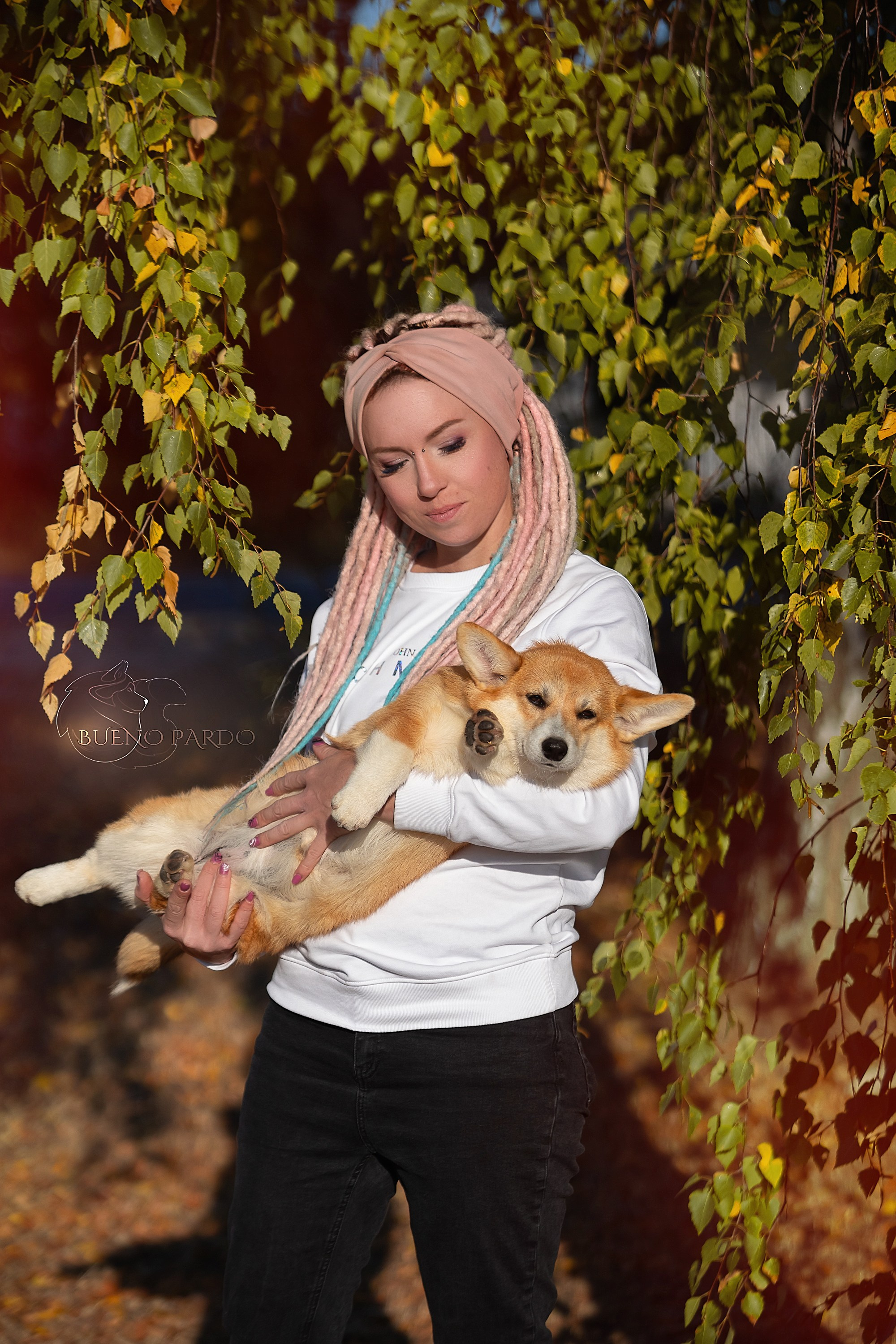 Щенки вельш корги пемброк из питомника. Питомник собак Акита, Хаски, Корги