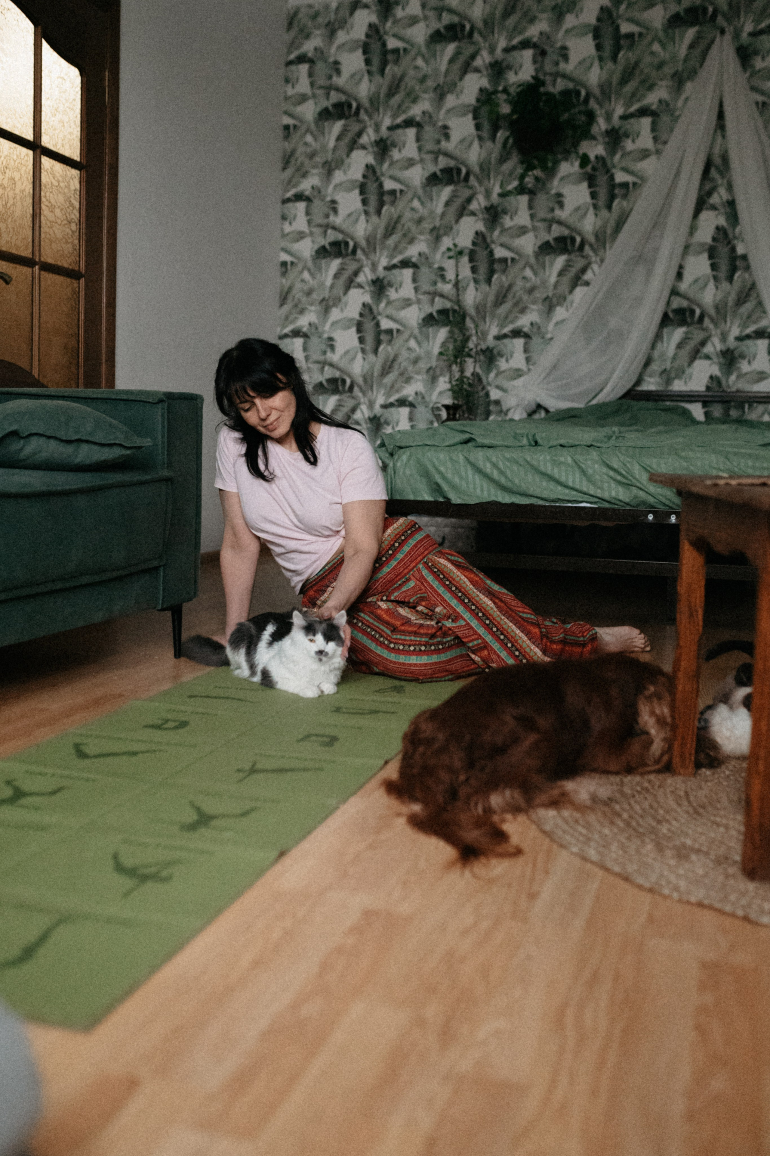 Оля и её меховая банда. Фотограф анималист в Москве Ольга Агушева