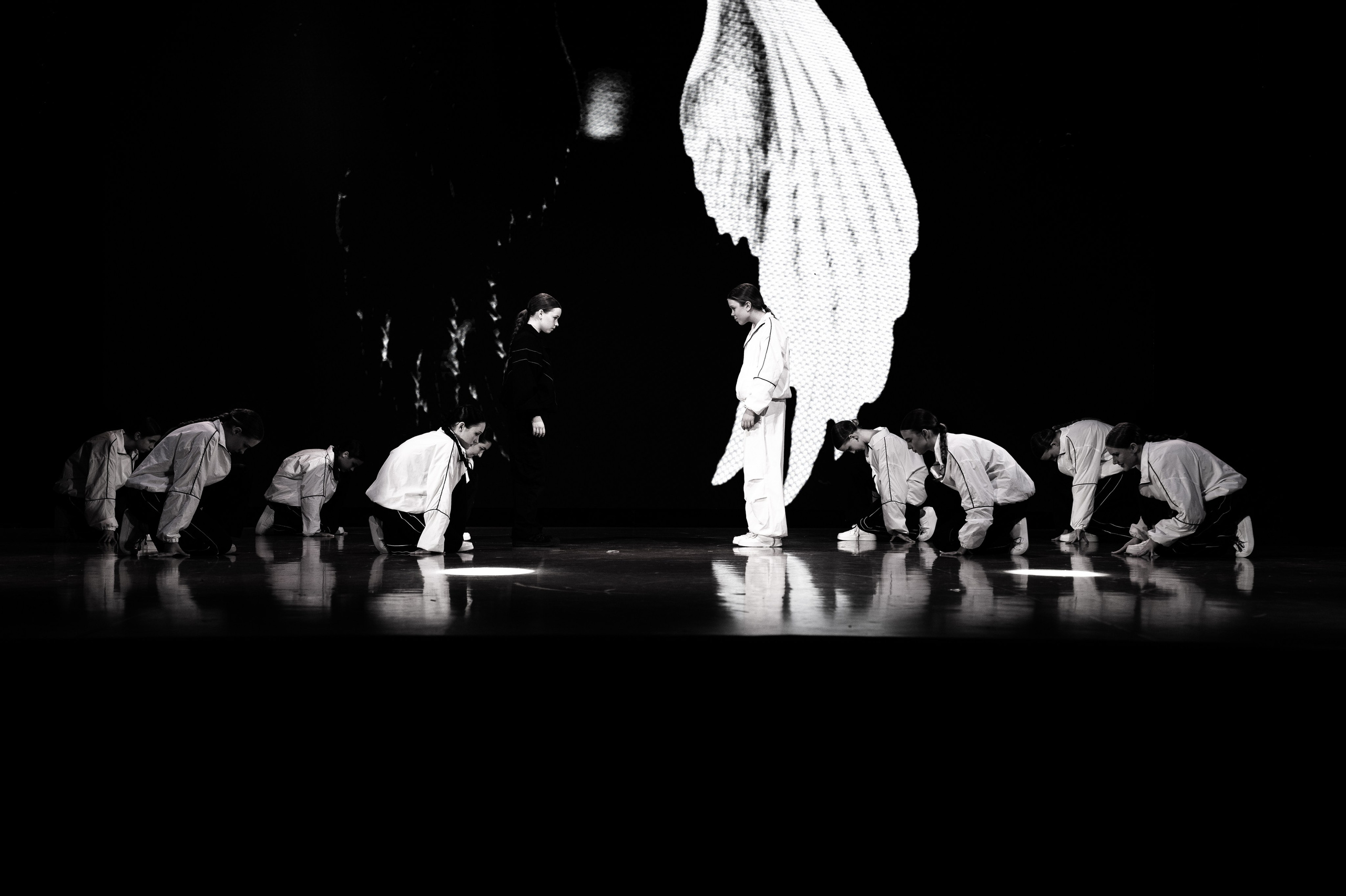 Концертная форма. Фото