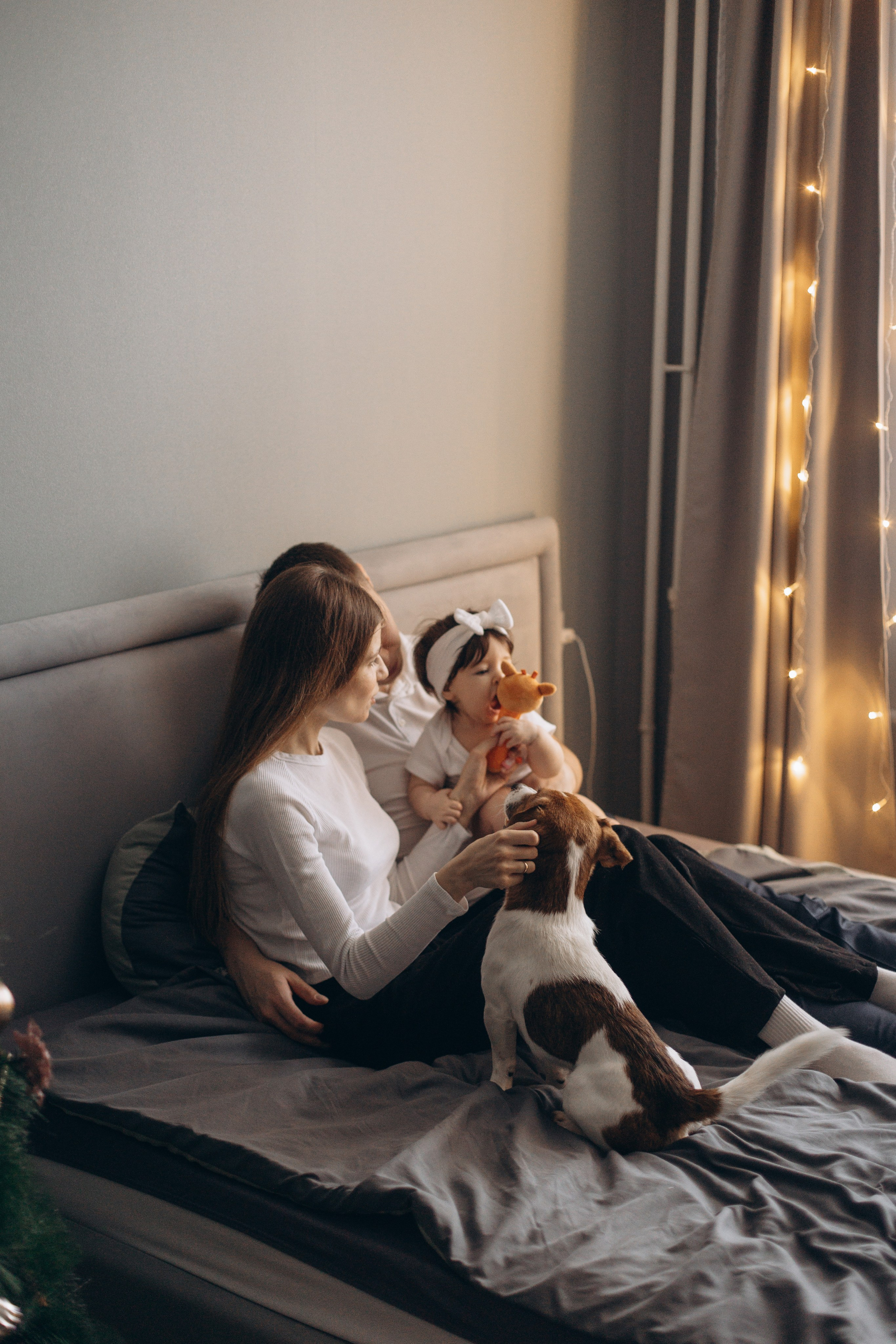 Джой и его семья. Фотограф — Анималист | Санкт-Петербург