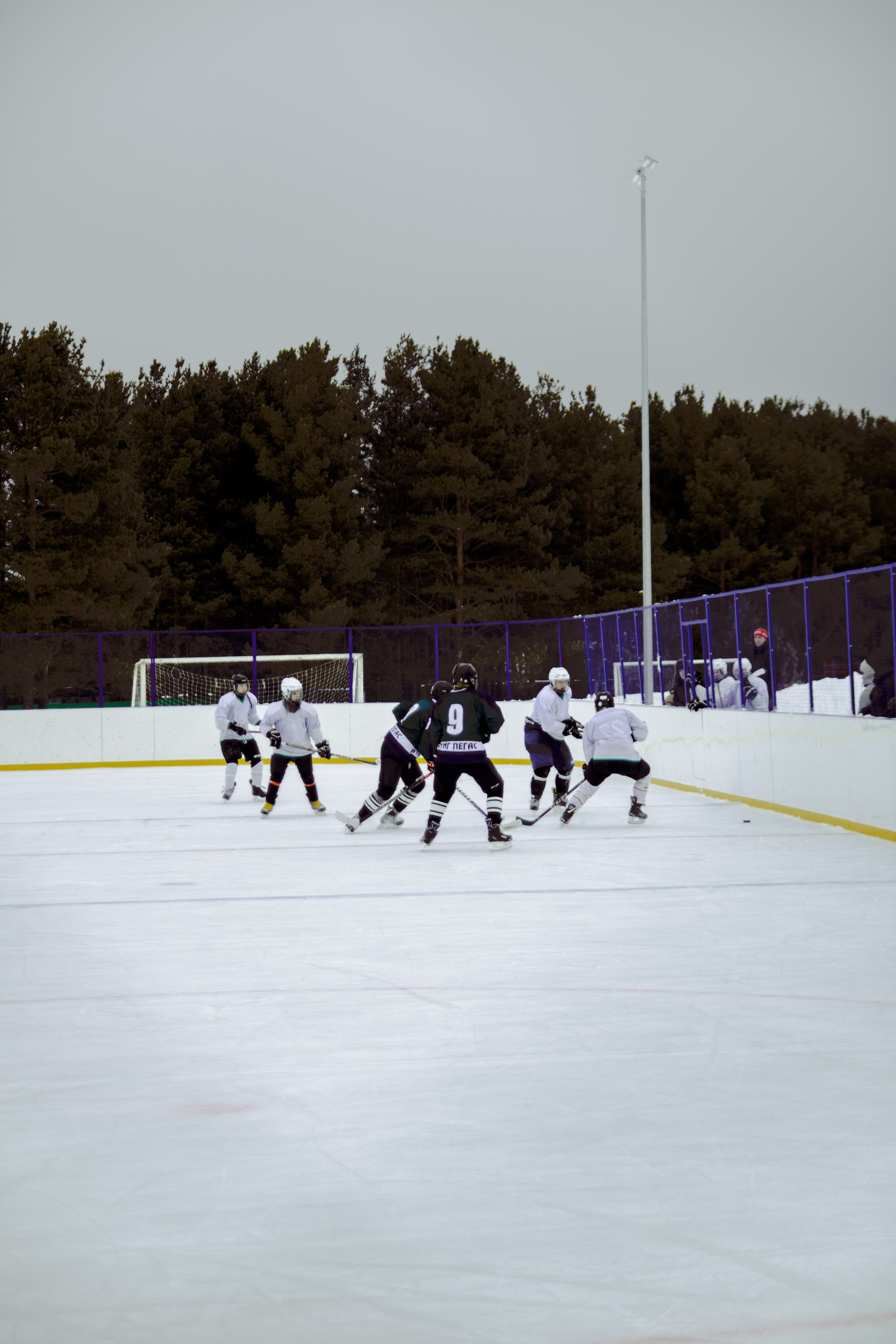 Хоккей 29.12.2024