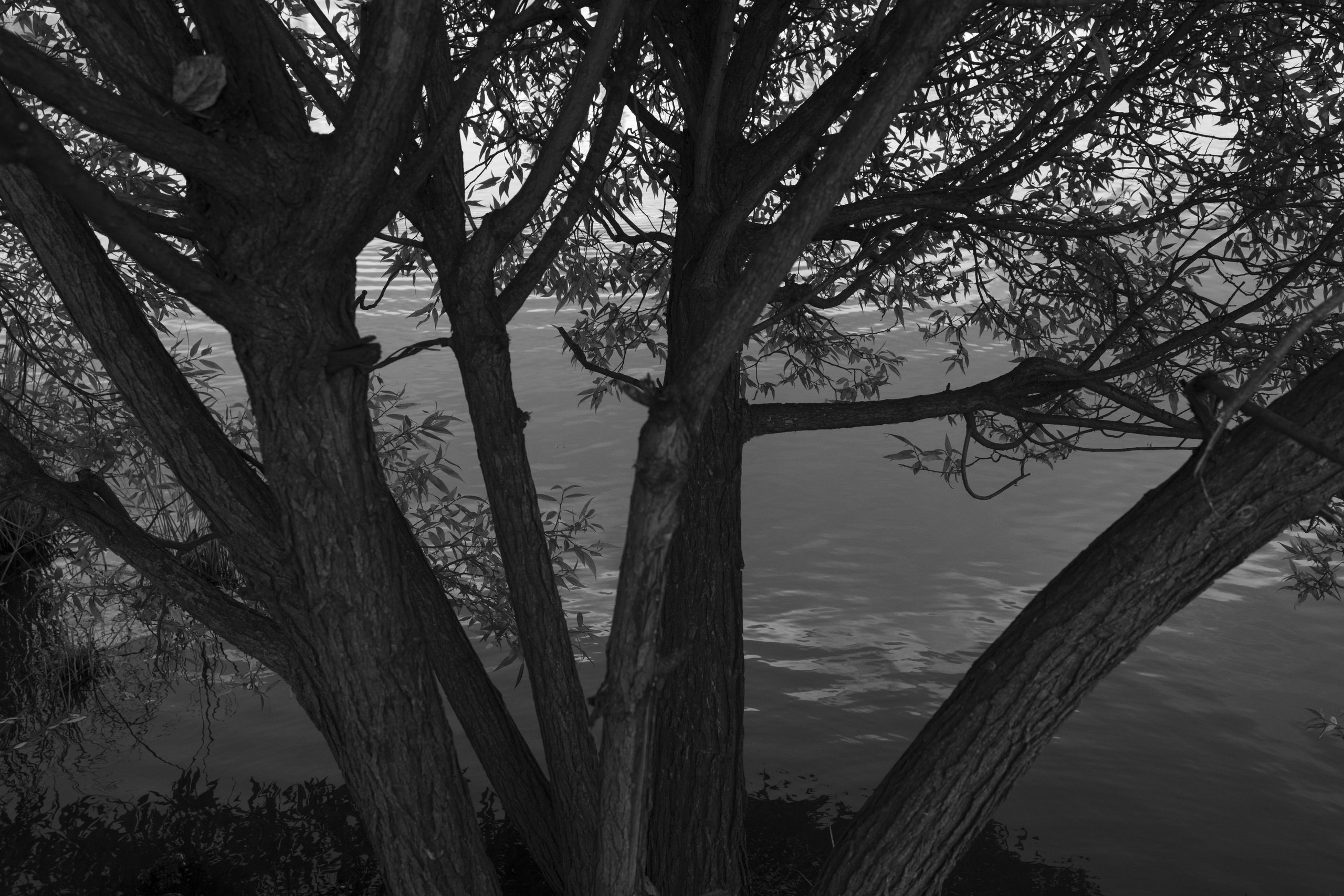 Прогулка по Екатеринбургу. Денис Марков — фотограф в Екатеринбурге