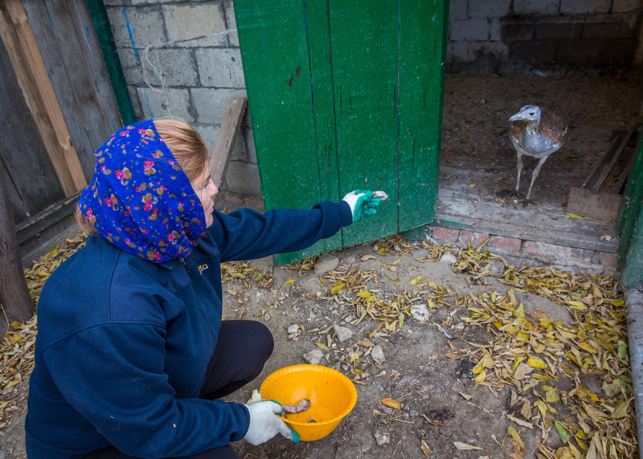 ХВАЛЫНСК: ГОРОД НА ДНЕ МОРЯ. Контакты