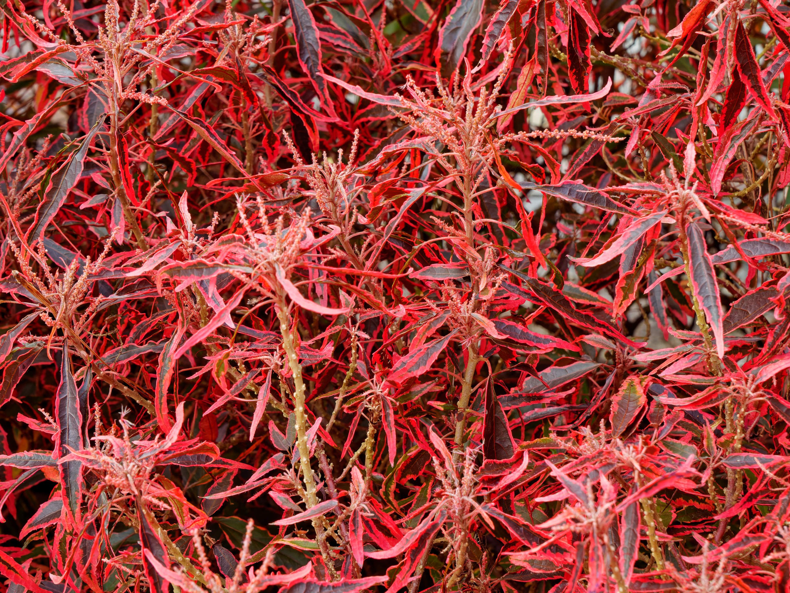 Далат 2023. Избранные фотографии