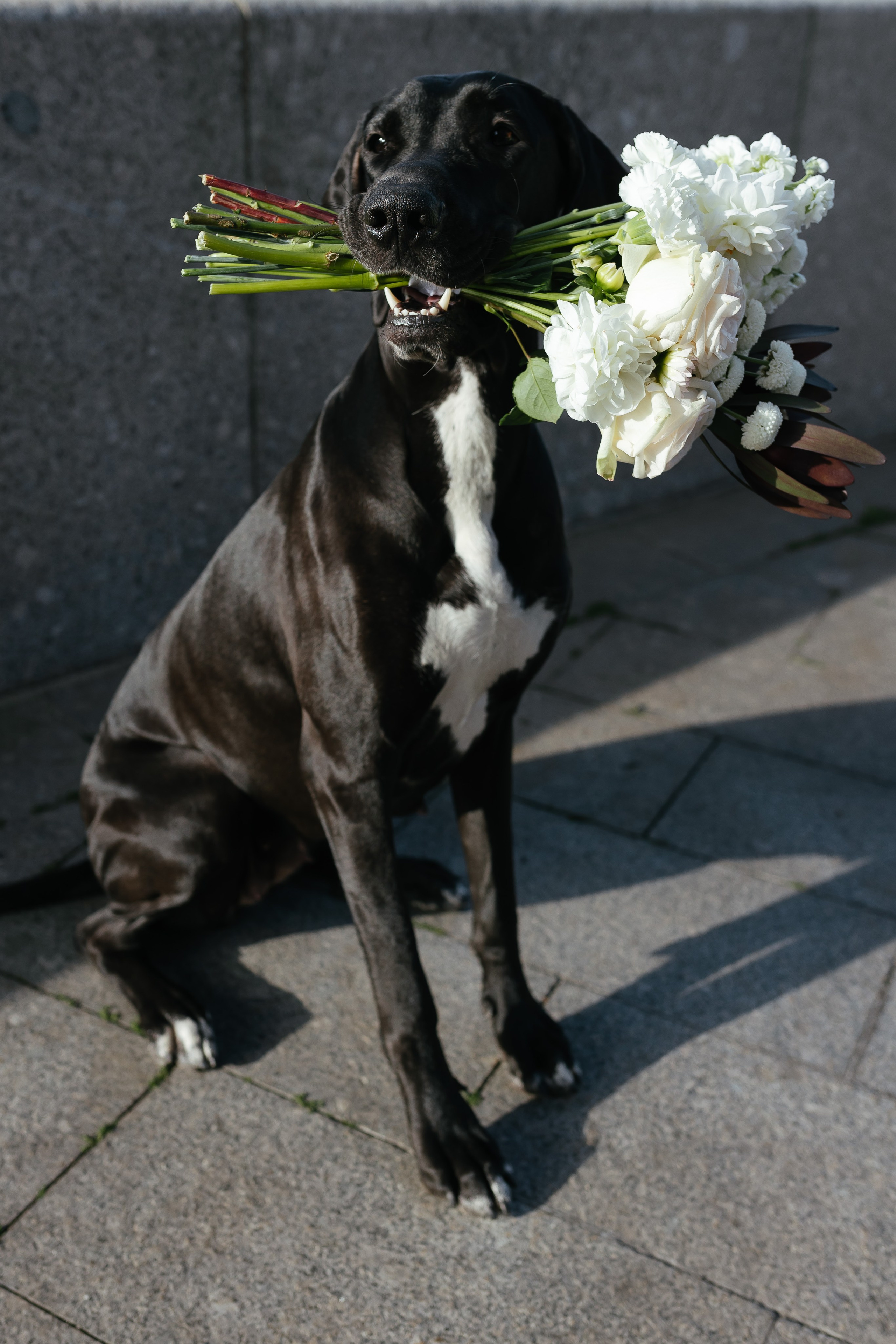 Таня и Егор. Городская прогулка. Свадебный фотограф Калуга Москва Диана Румянцева