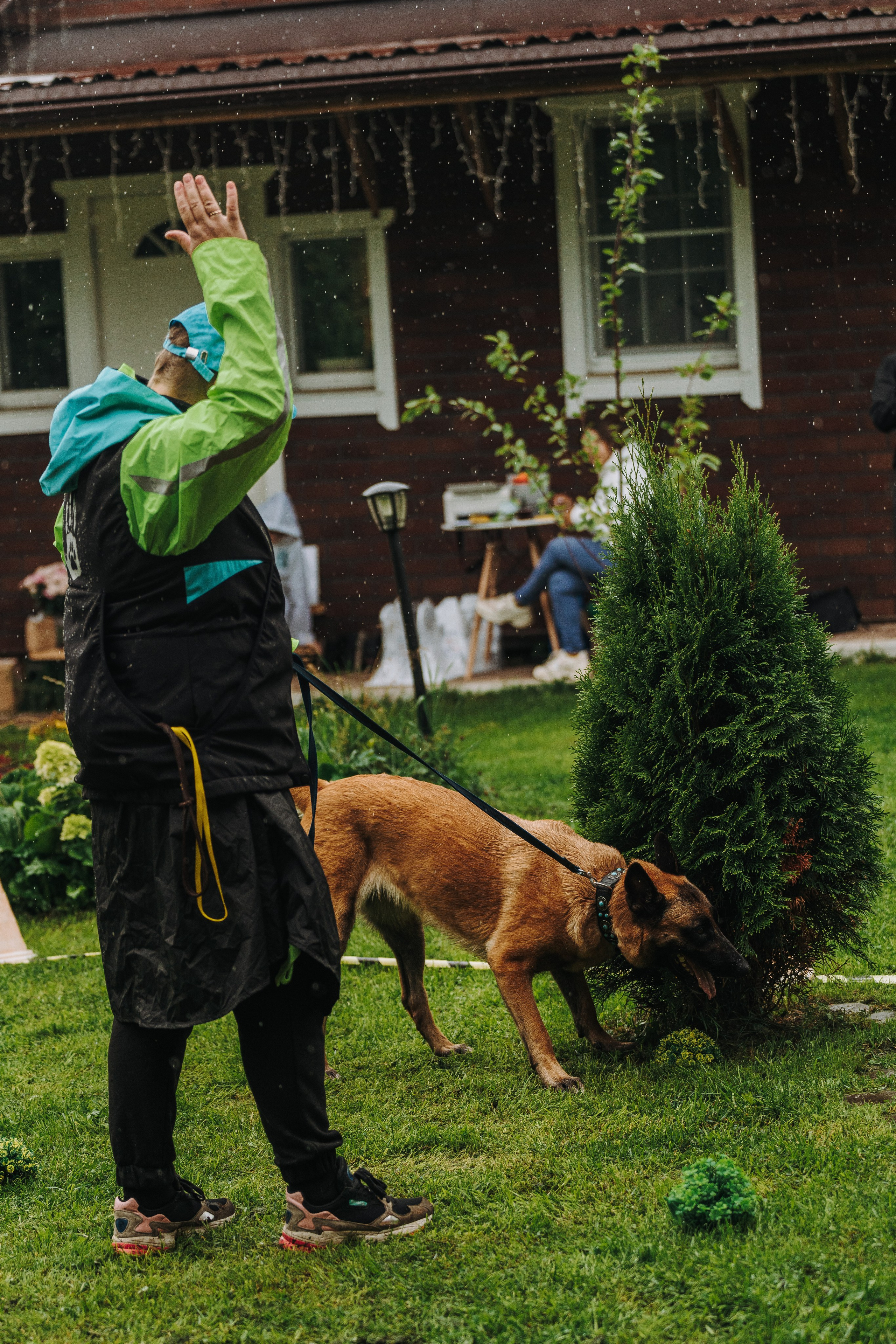 Соревнования по ноузворку в Новожилово. Фотограф анималист в Спб недорого Олеся Майорова