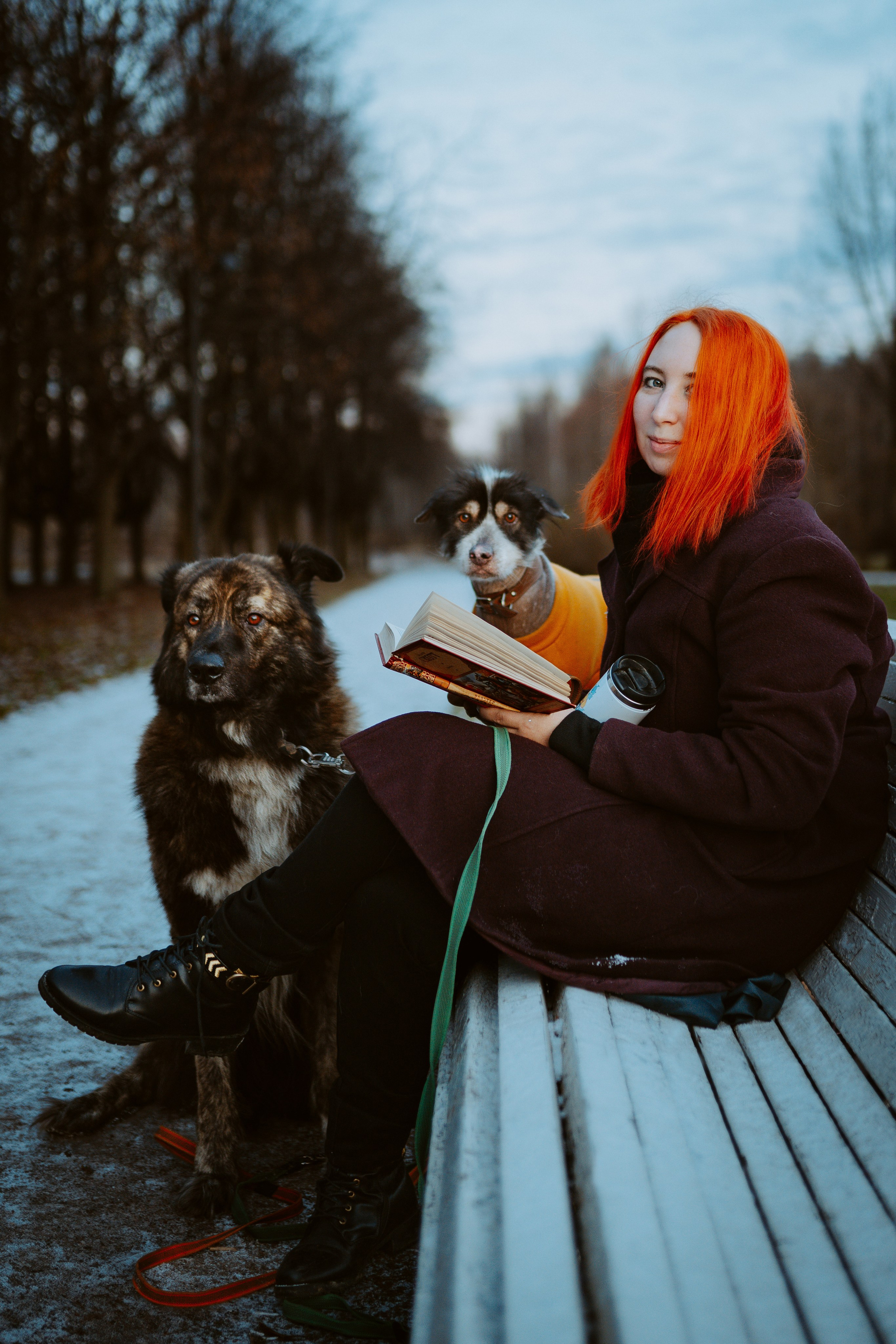 Творческая фотосессия фотографа анималиста. Фотограф анималист в Спб недорого Олеся Майорова