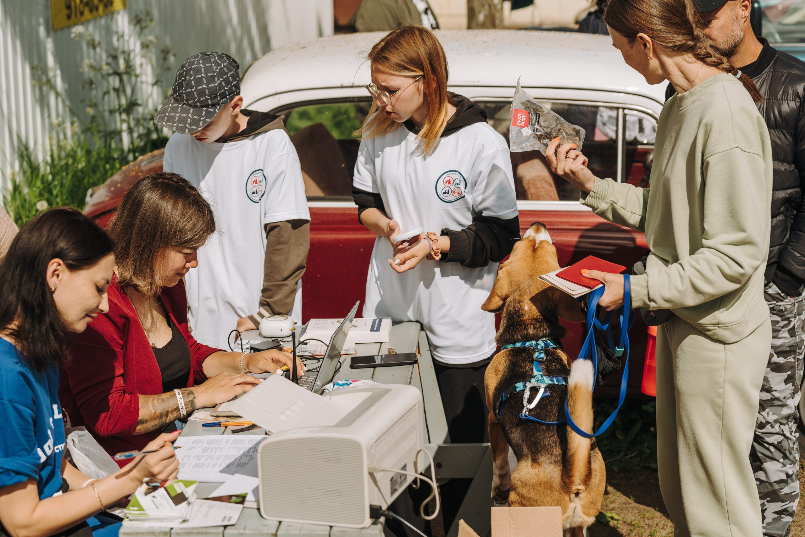 Соревнования по ноузворку. Фотограф анималист в Спб недорого Олеся Майорова