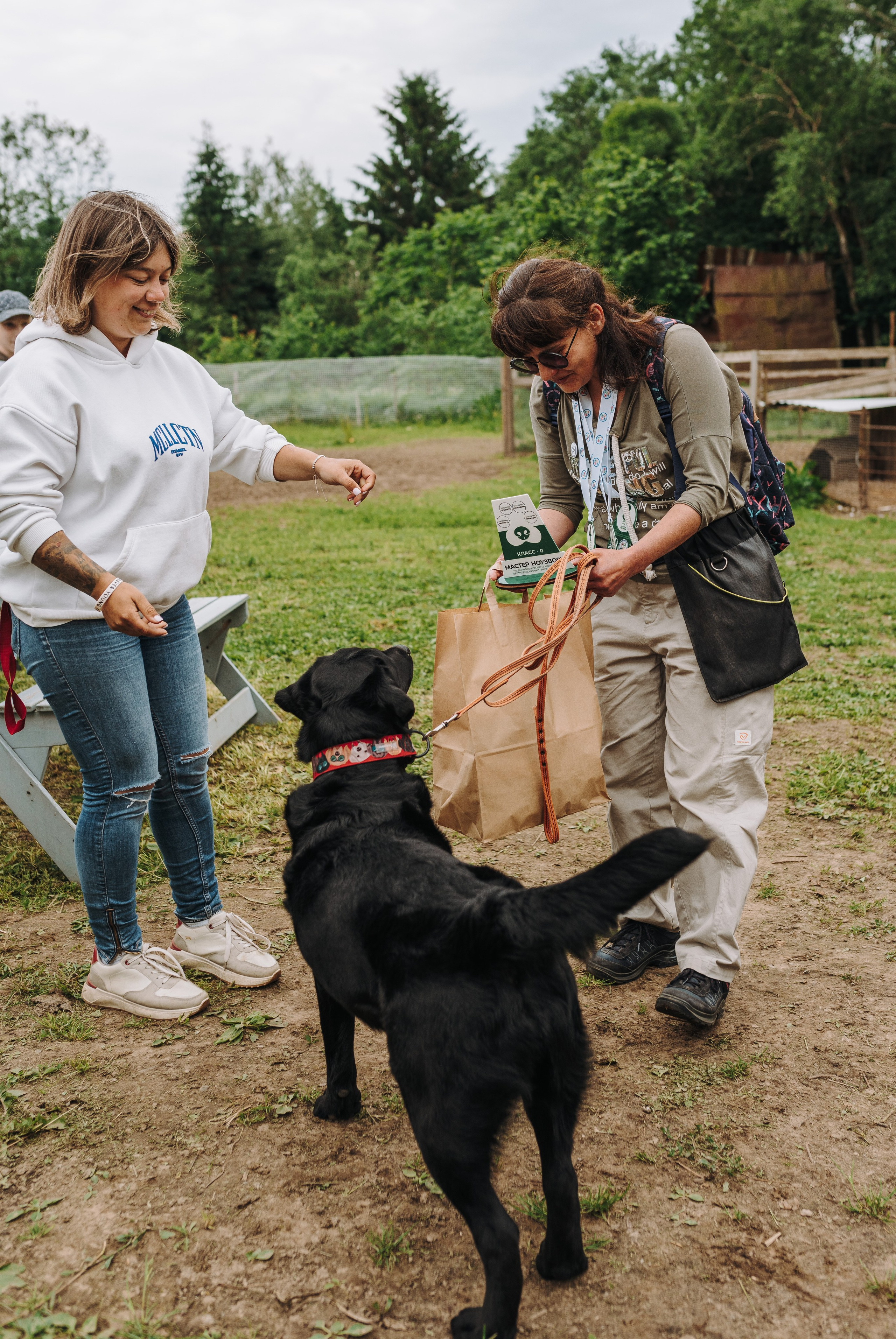 Соревнования по ноузворку. Фотограф анималист в Спб недорого Олеся Майорова