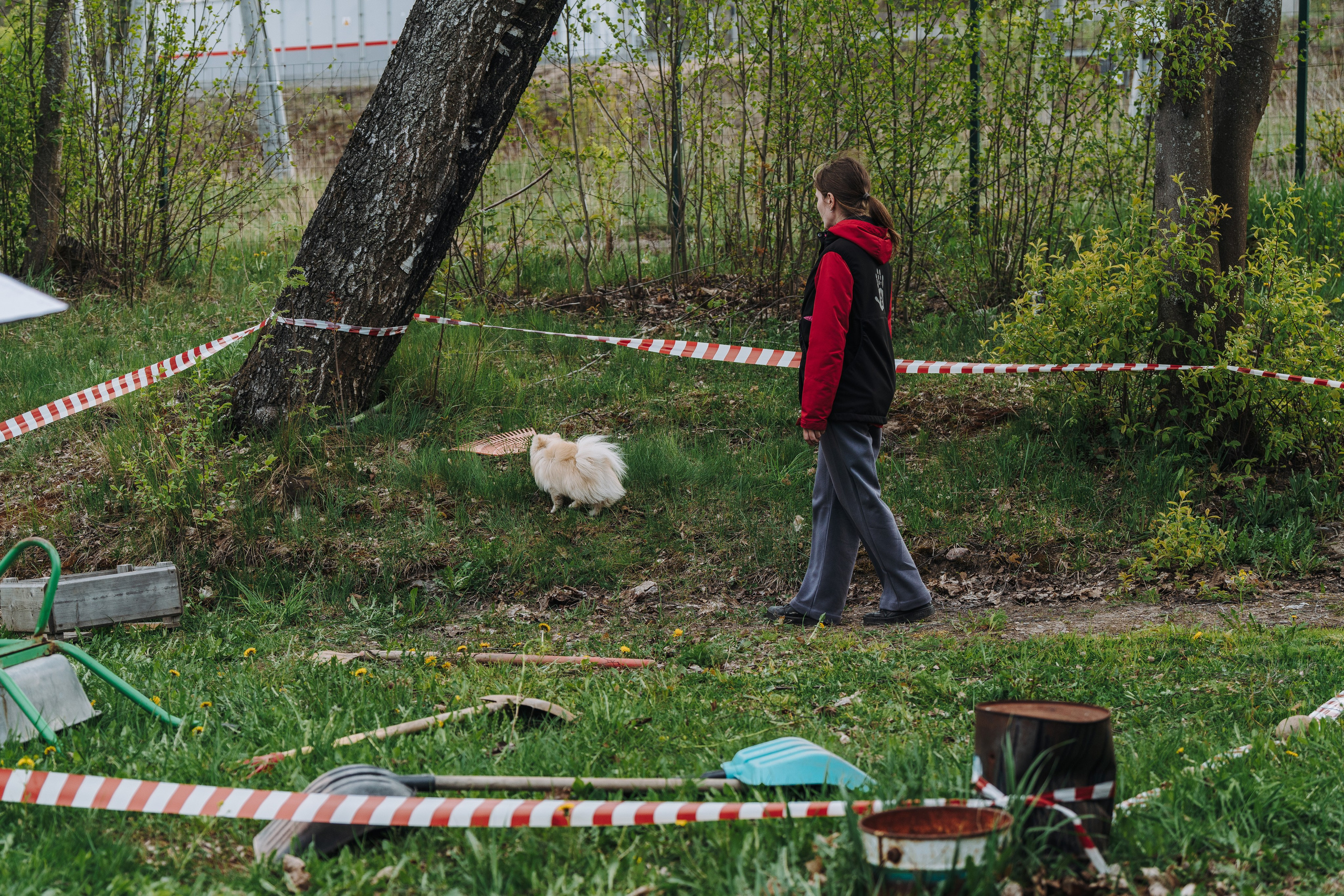 Соревнования по ноузворку в Лосево. Фотограф анималист в Спб недорого Олеся Майорова
