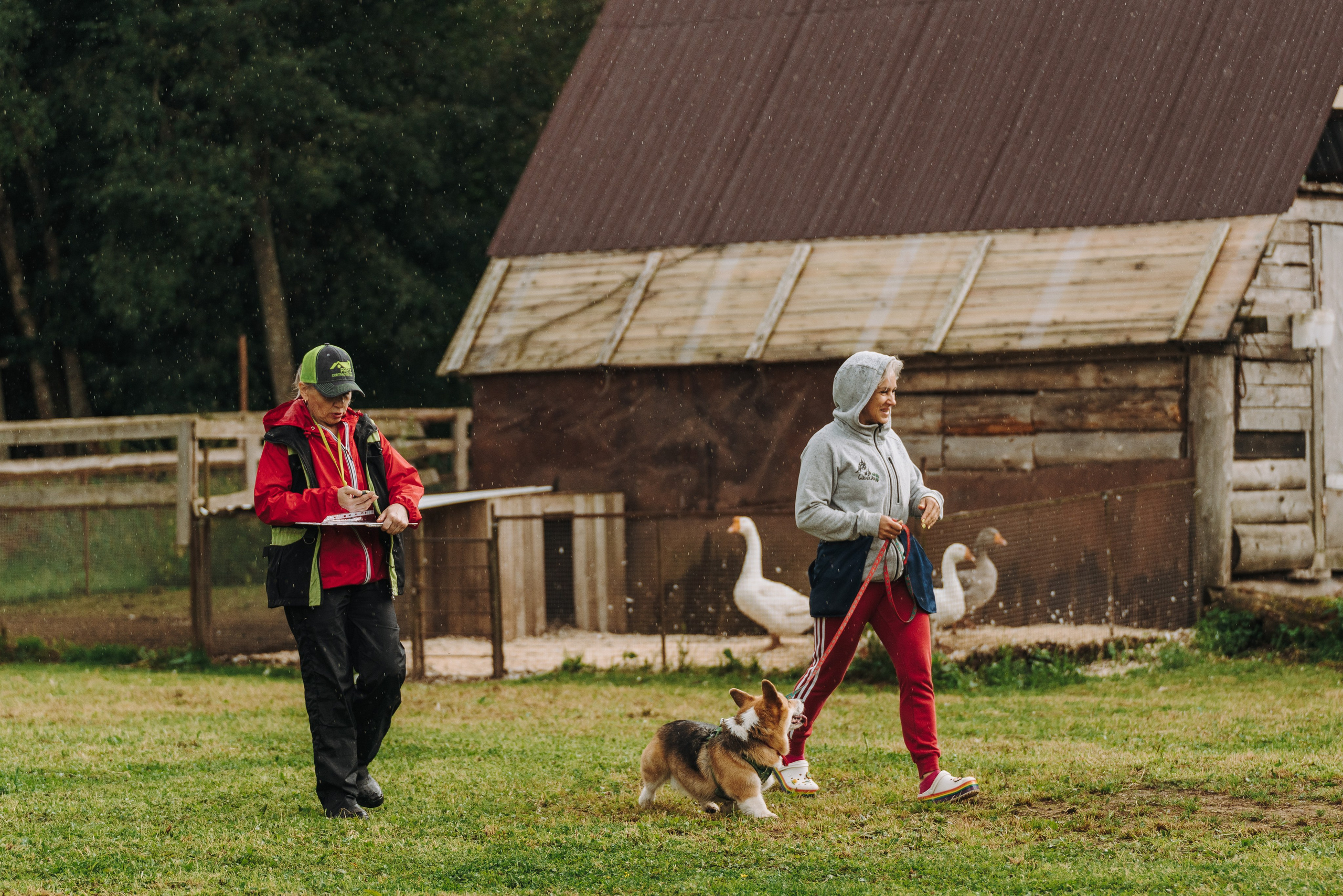 Соревнования по ноузворку в Новожилово. Фотограф анималист в Спб недорого Олеся Майорова