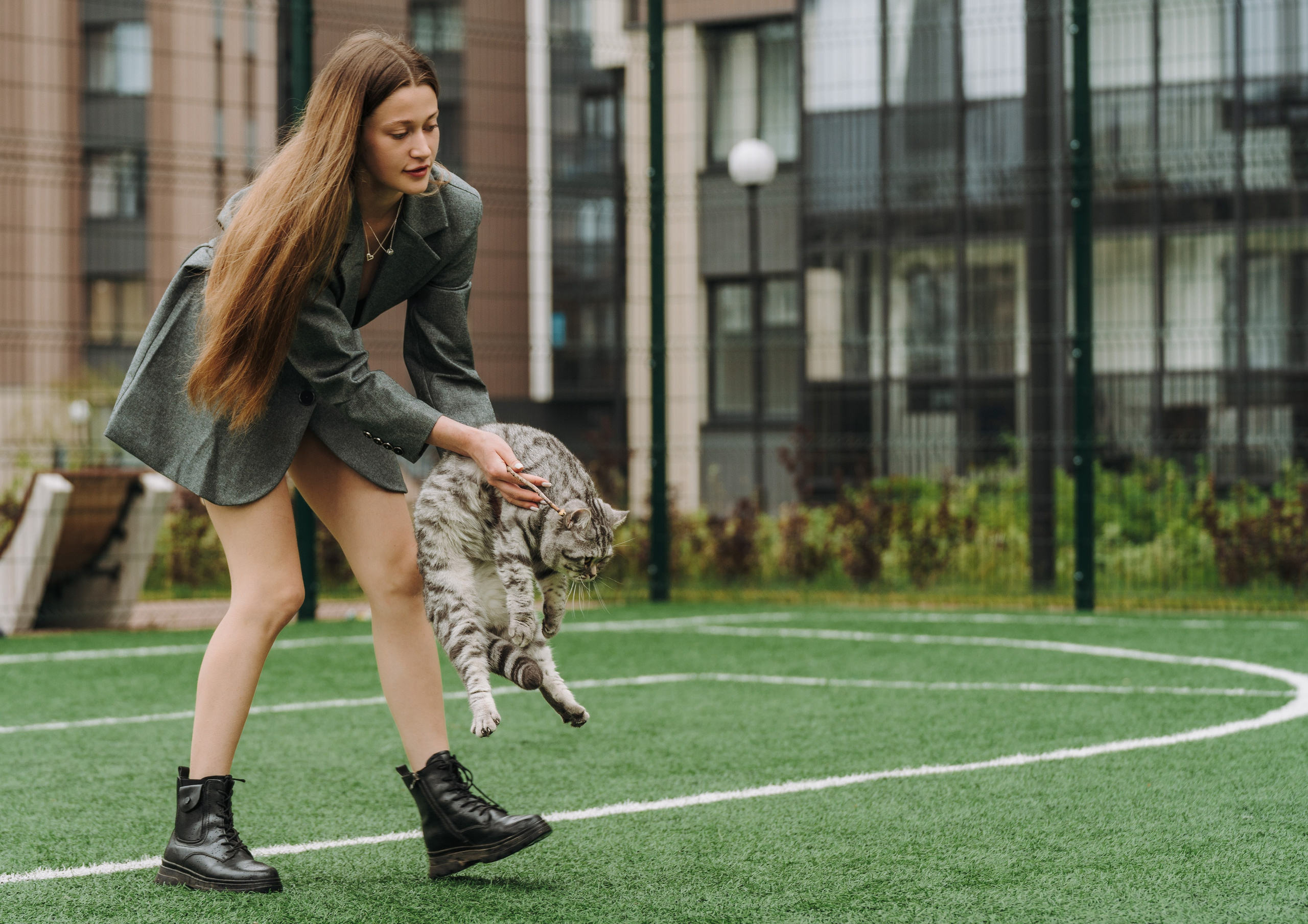 Портфолио кошки, фотограф Олеся Майрова. Фотограф анималист в Спб недорого Олеся Майорова