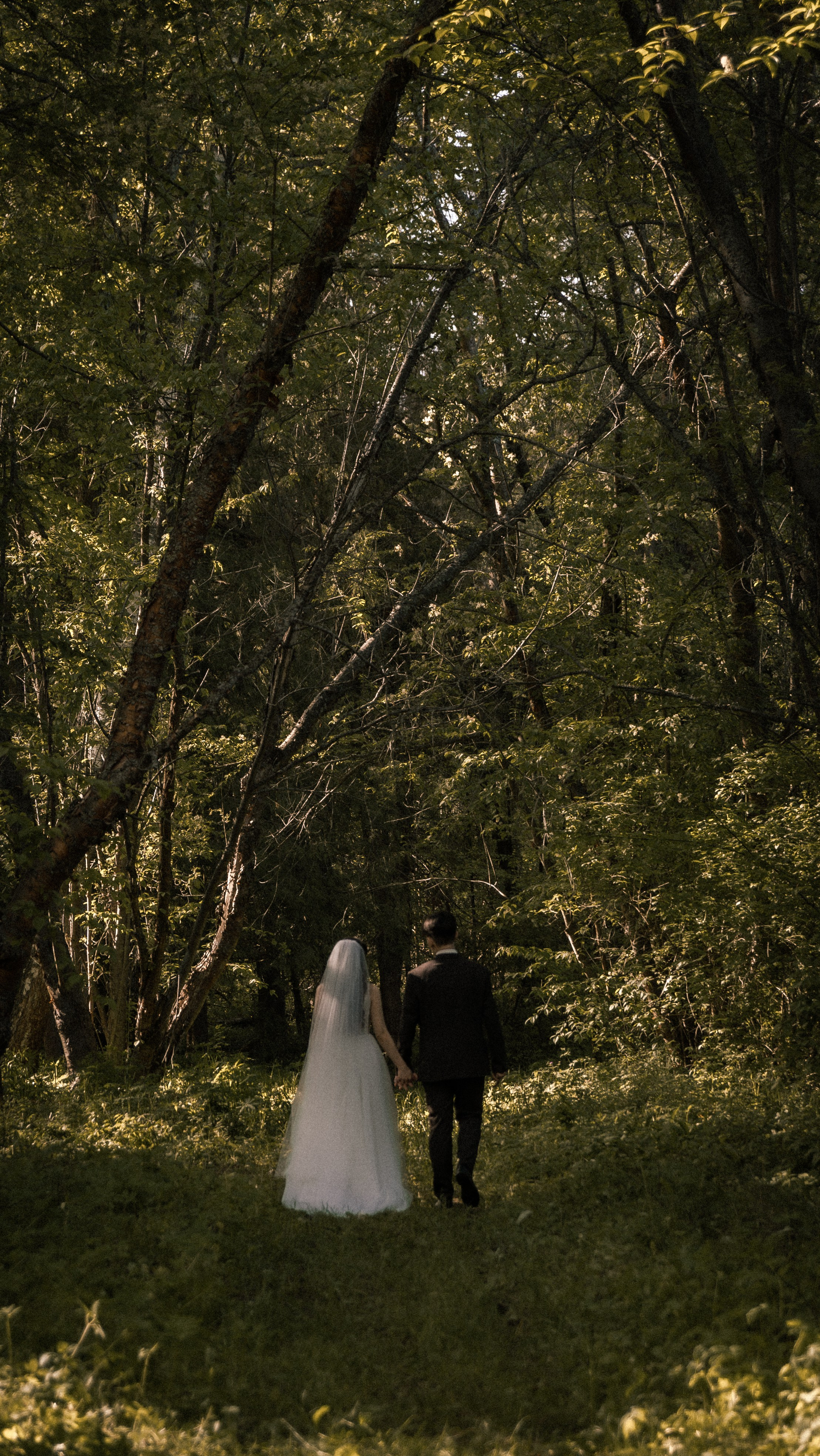 Алина и Арсений. Фотограф и видеограф Андрей Кукишев