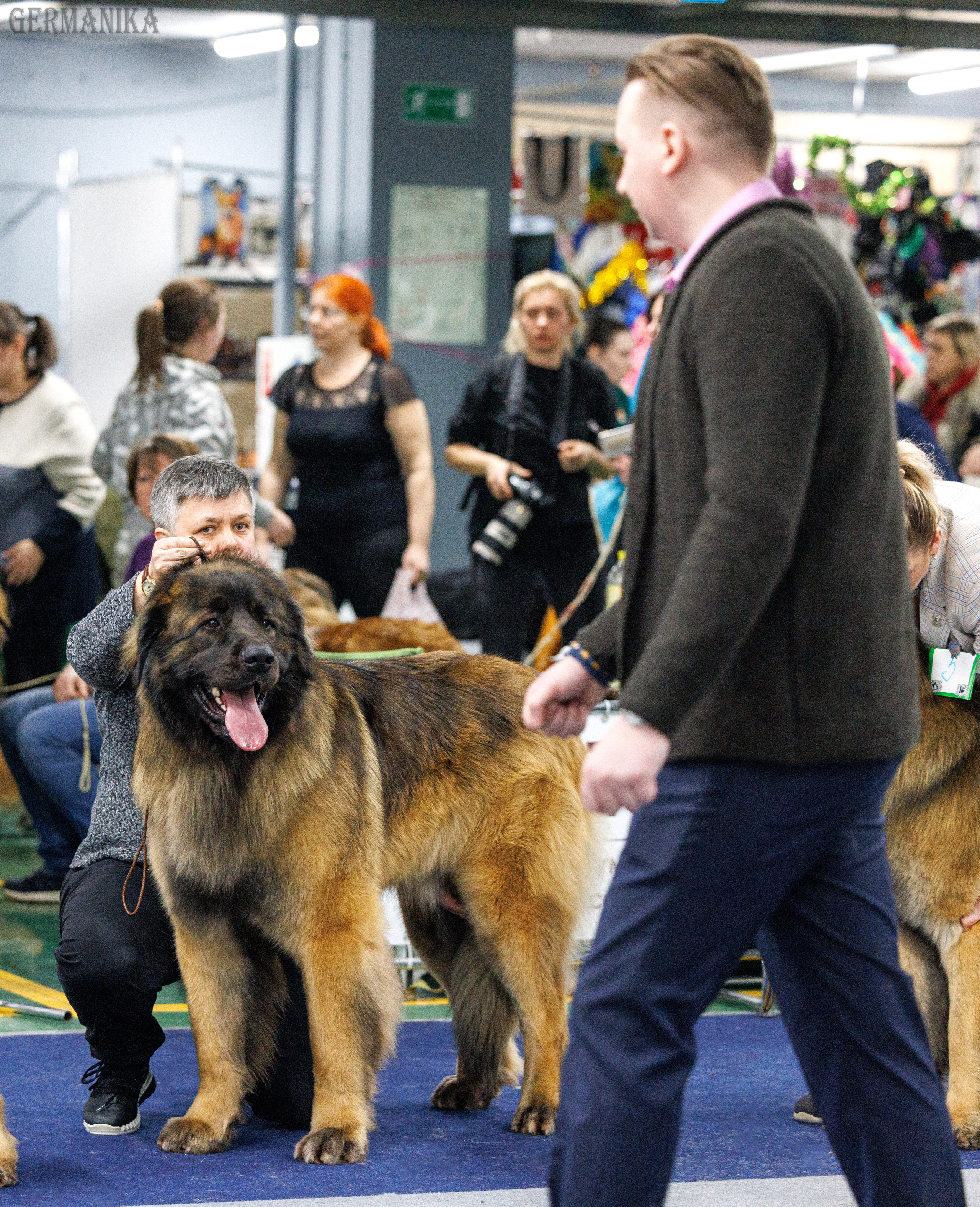 Сфера 28.01. и 4.02.2024. Фотограф-анималист Юлия Германика