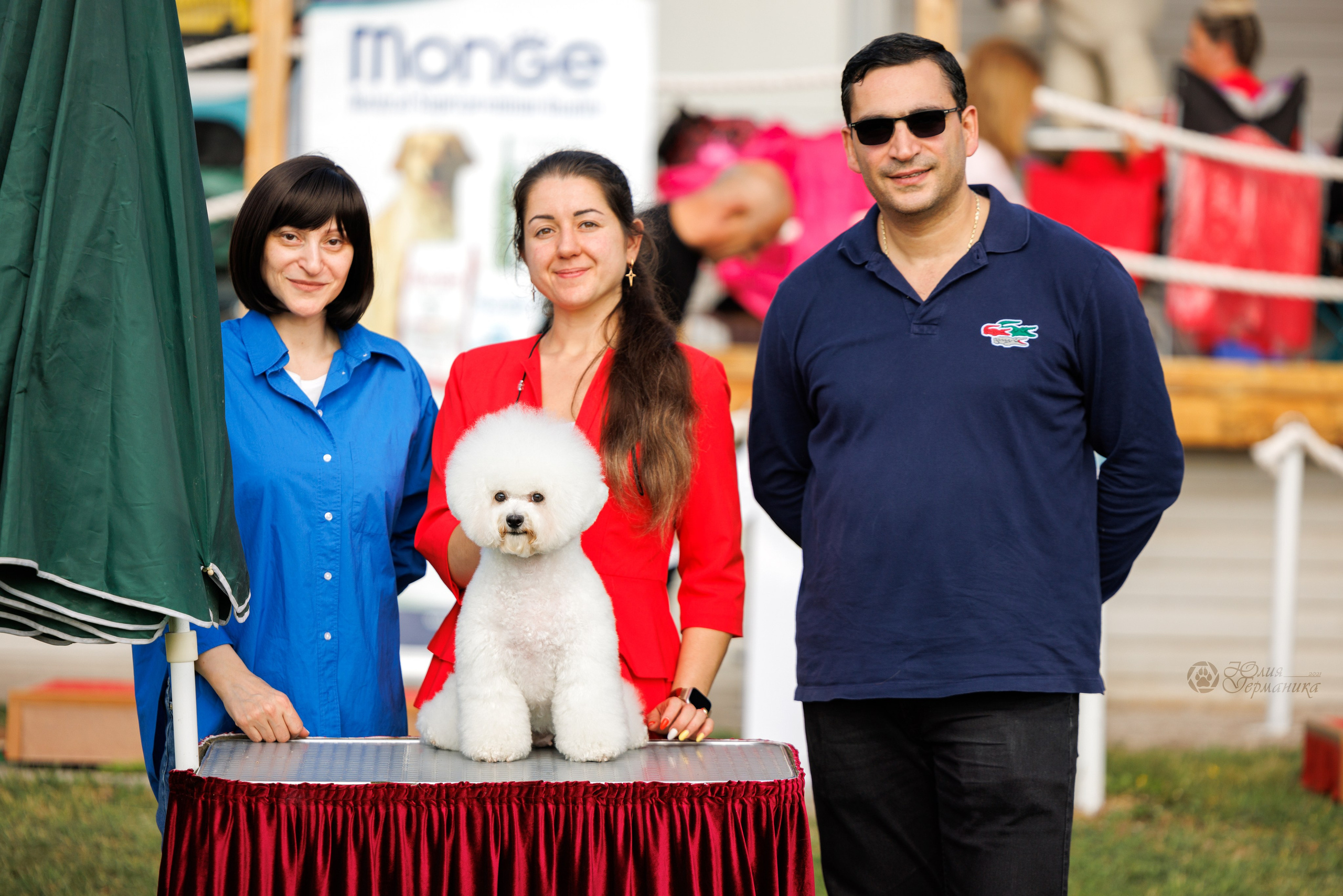 Армения,Ереван 3хCACIB 15-17.10.2024. Фотограф-анималист Юлия Германика