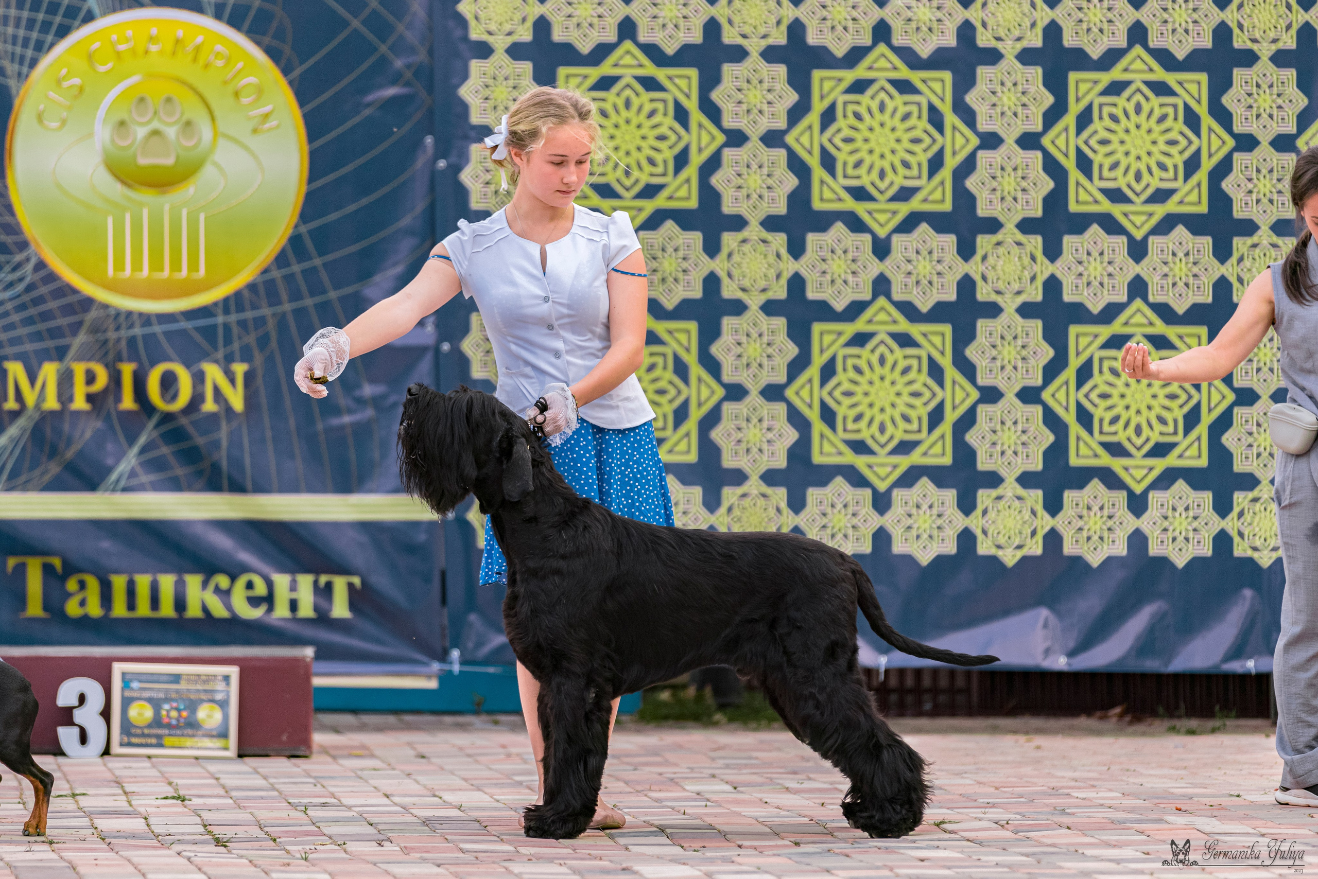 Ташкент 6-8.10.2023 + Алматы 14-15.10.2023. Фотограф-анималист Юлия Германика