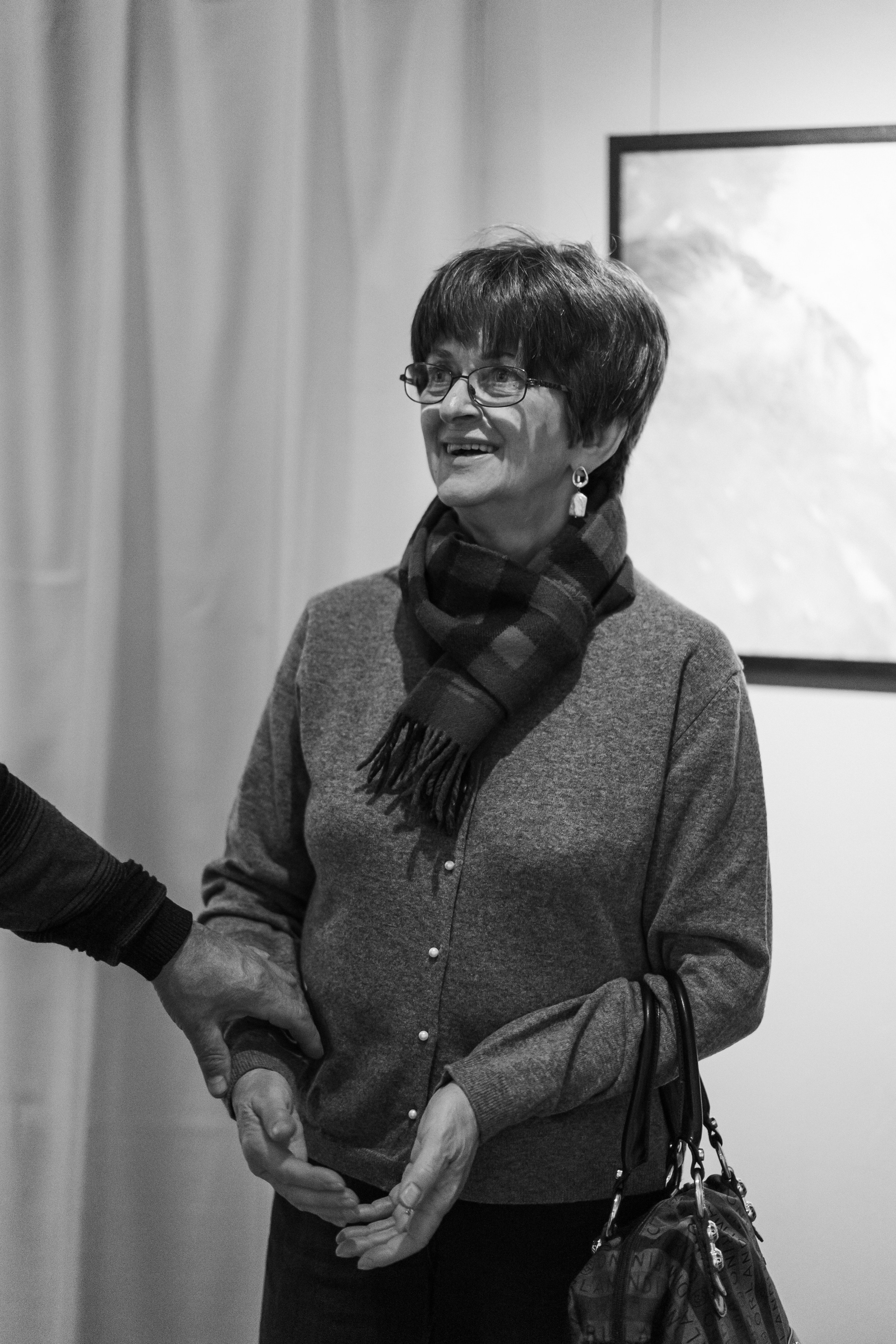 Съёмка открытия вытсавки художника Ильи Даньшина. Лиза Фирстова — самый добрый фотограф