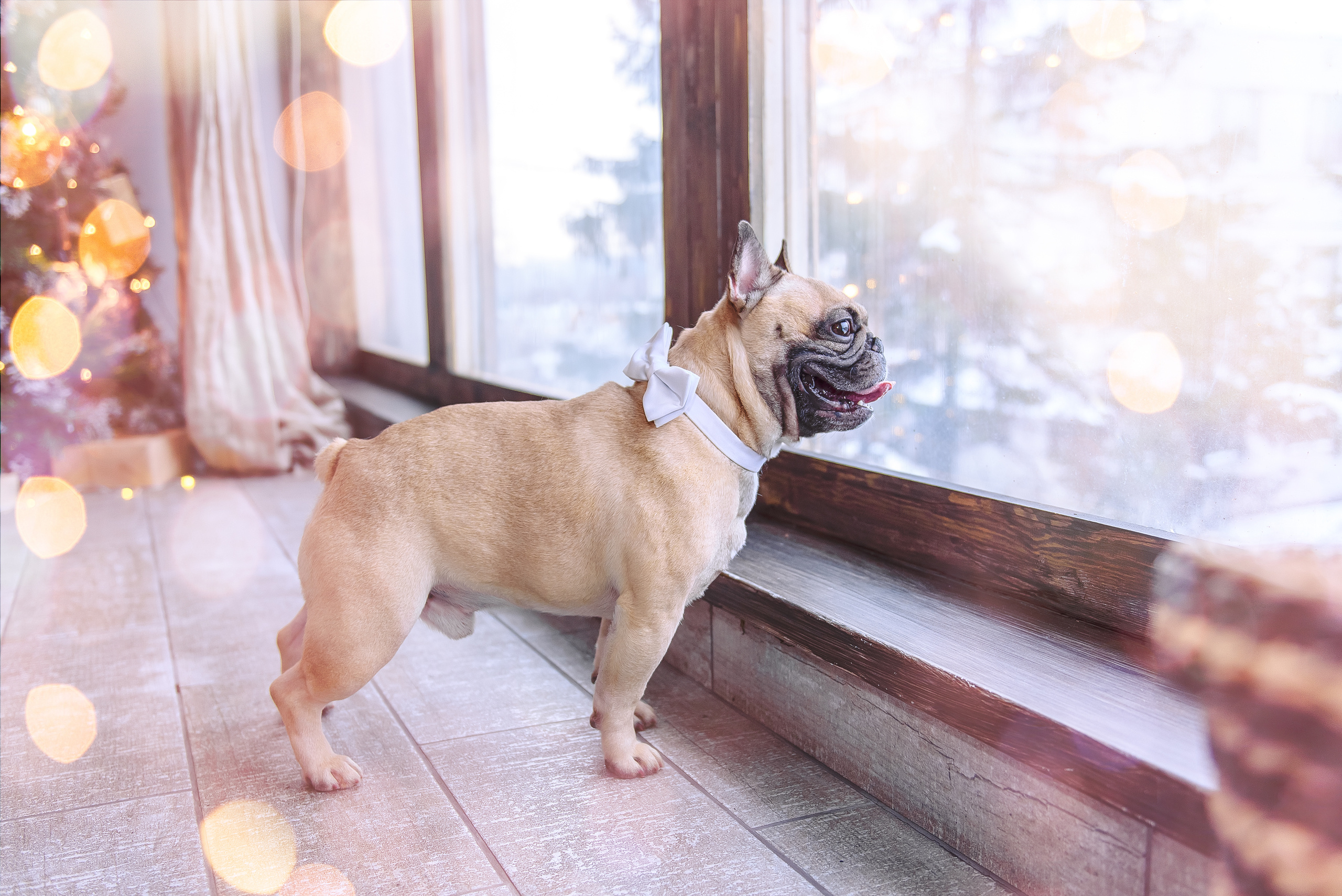 Семья Алексея и Ольги в фотостудии PROSTYLE. Свадебный и семейный фотограф в Москве Юлия Винник