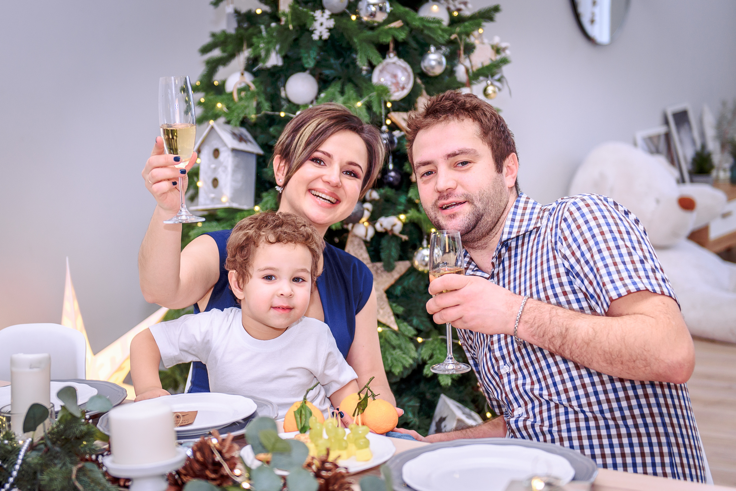 Новогодняя фотосессия в студии PROSTYLE. Свадебный и семейный фотограф в Москве Юлия Винник