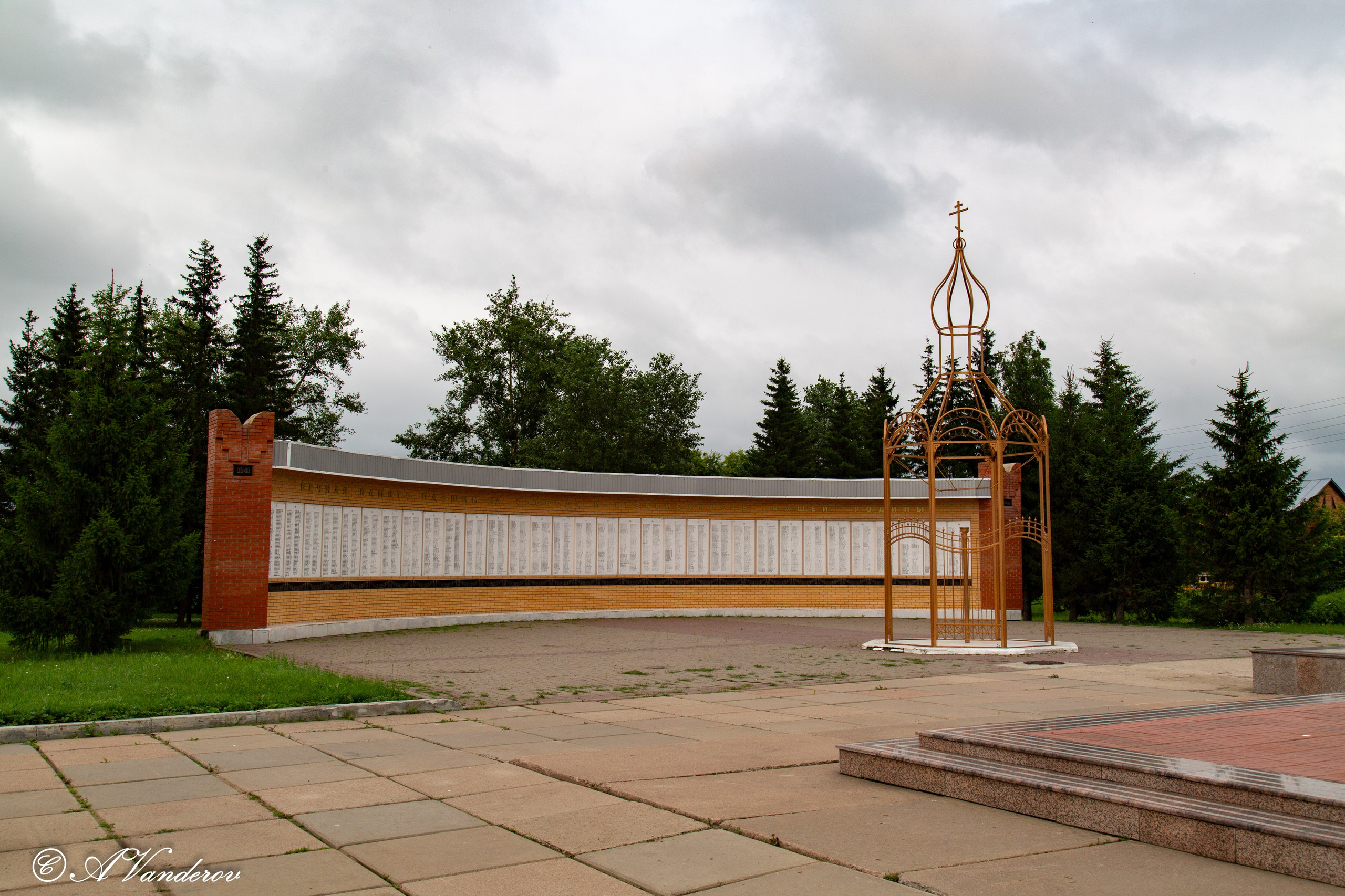 Калачинск 07.07.2024. Фотограф Омск | Александр Вандеров