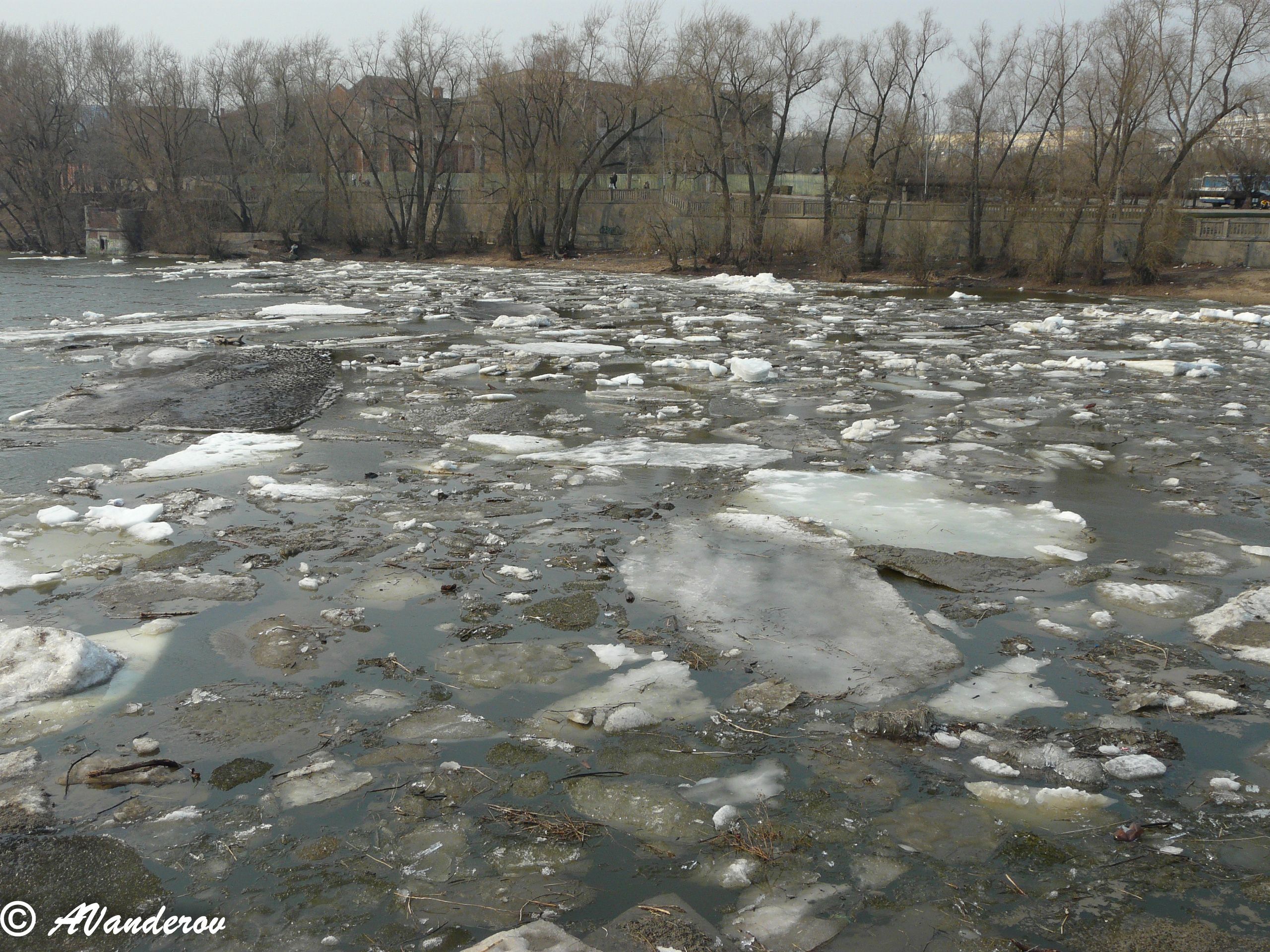 Омск 2008. Фотограф Омск | Александр Вандеров