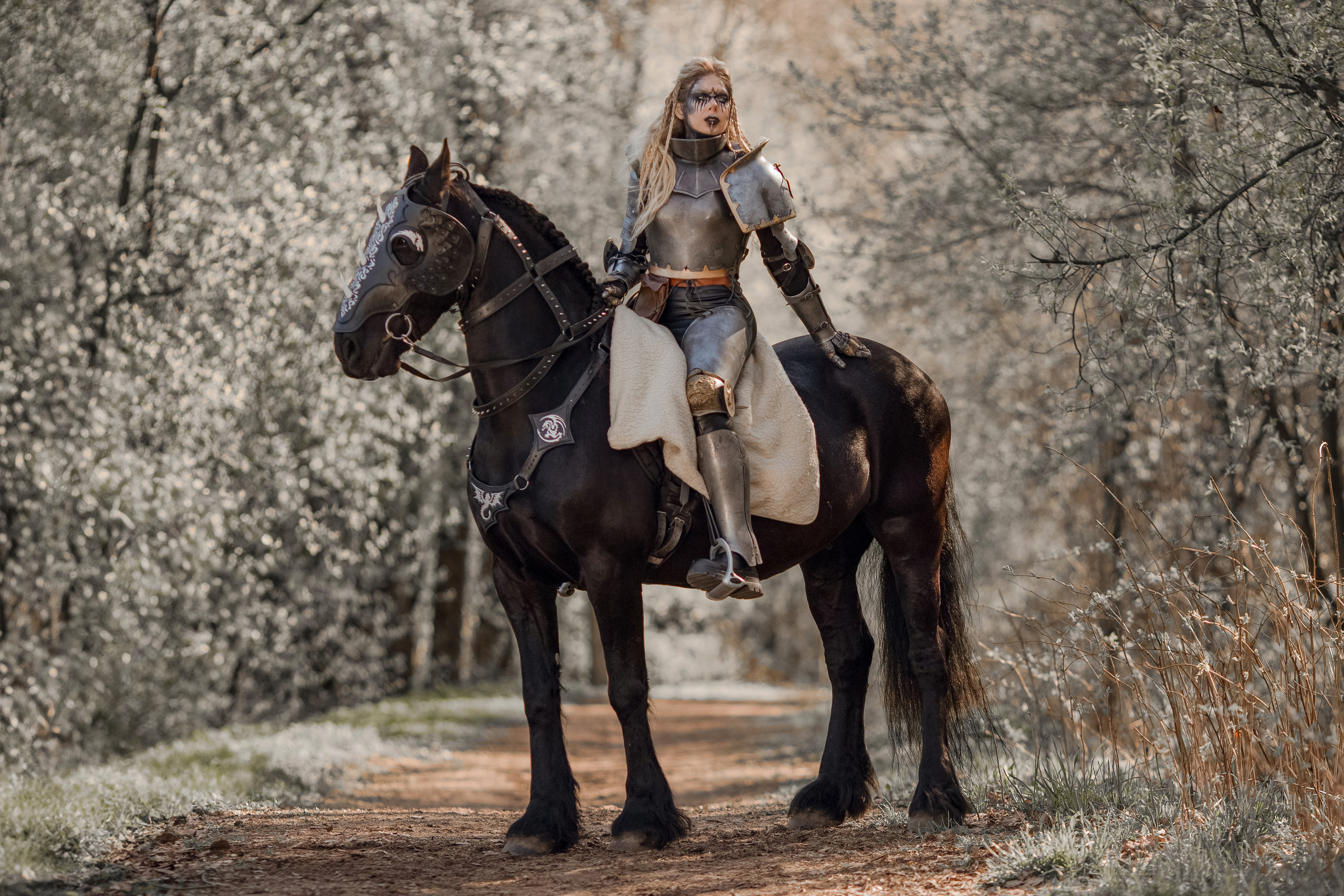 Фотосессия в рыцарских доспехах с лошадью