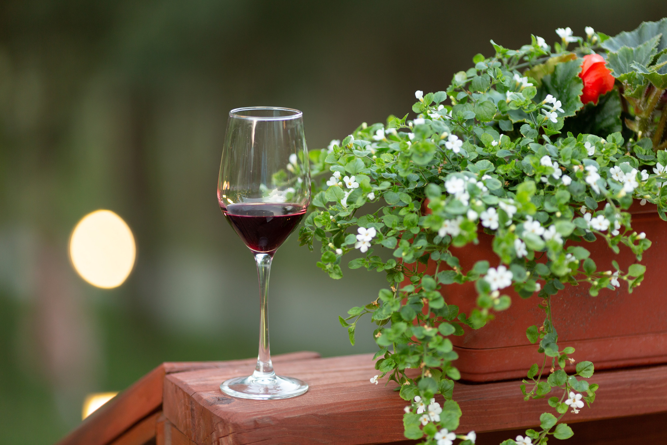 Открытие летнего сезона в ресторане БЕРЛОГА (13 мая 2023 г.). Фотограф Наталья Угрюмова, г. Москва