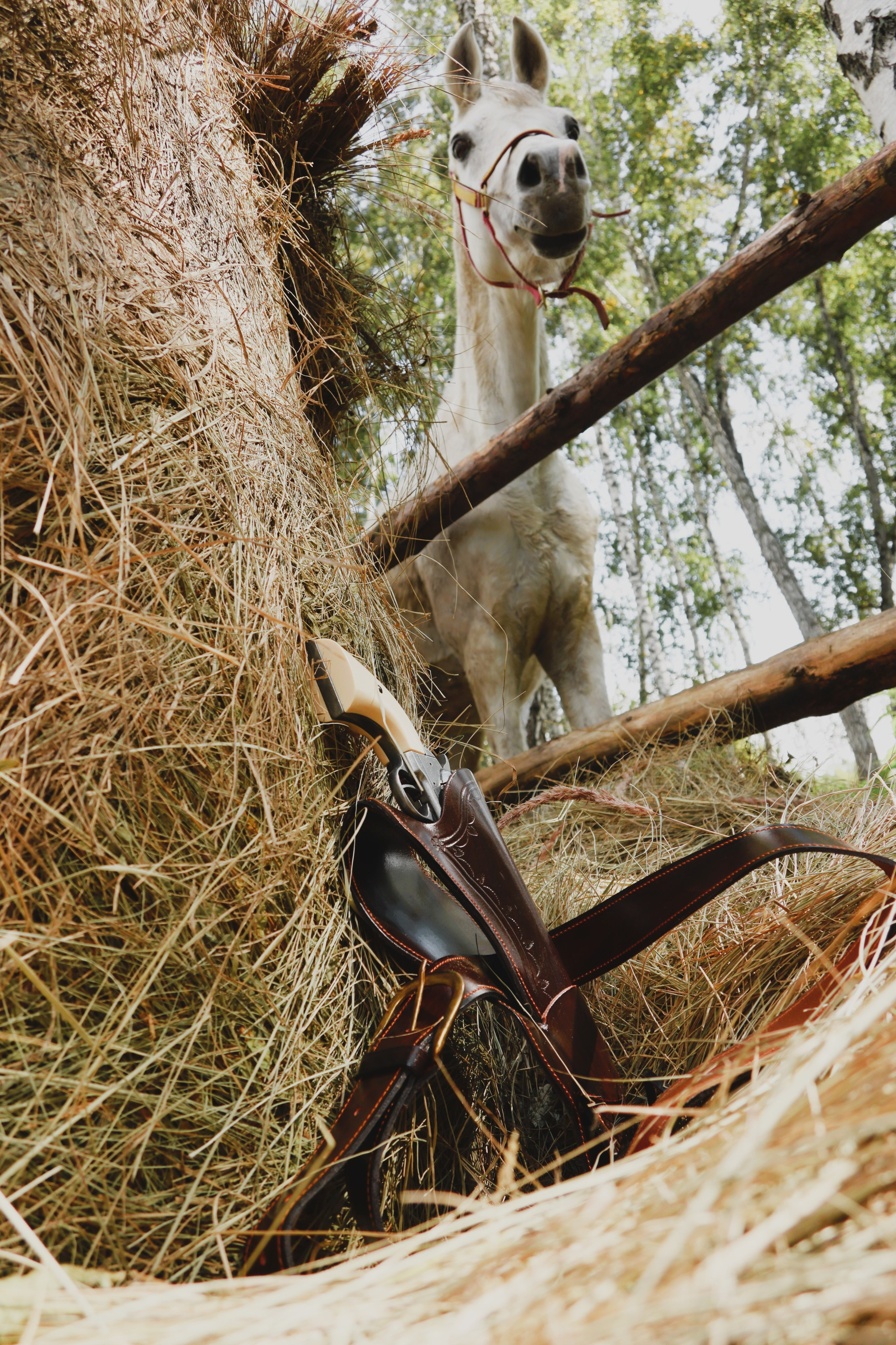 Галерея. Фотохудожник Светлана Финадеева. Челябинск