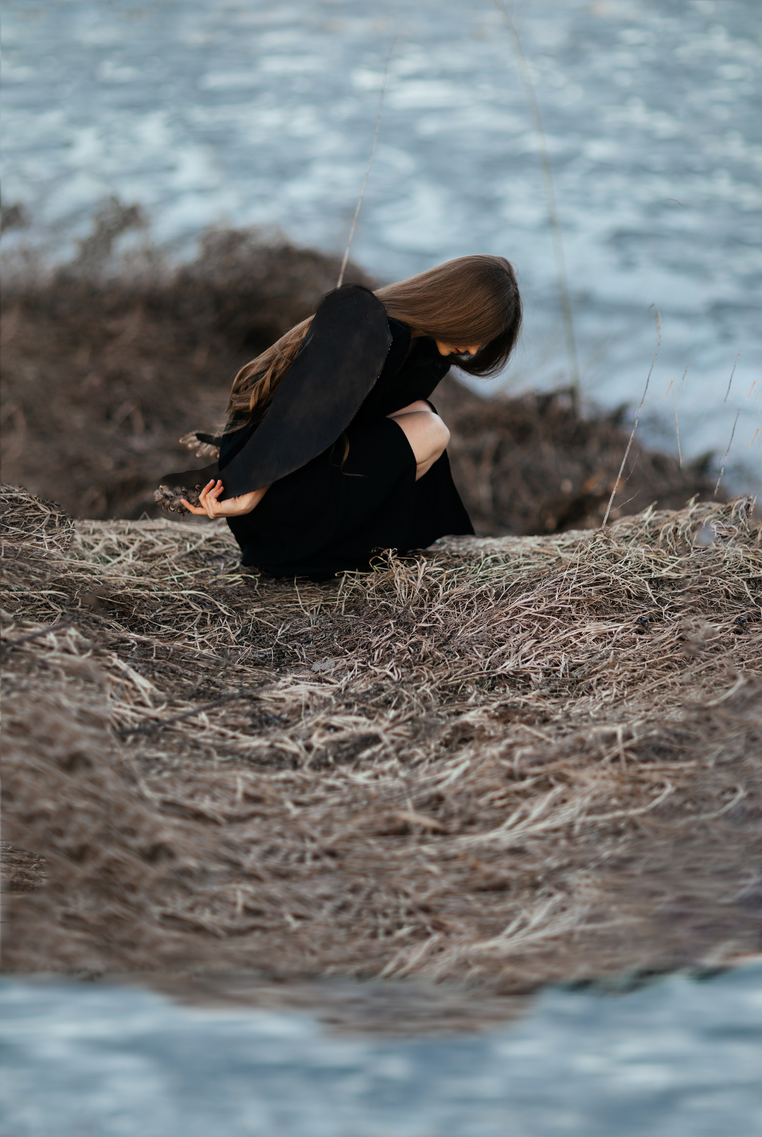 BIRD. Ваш фотограф Любовь Чистякова