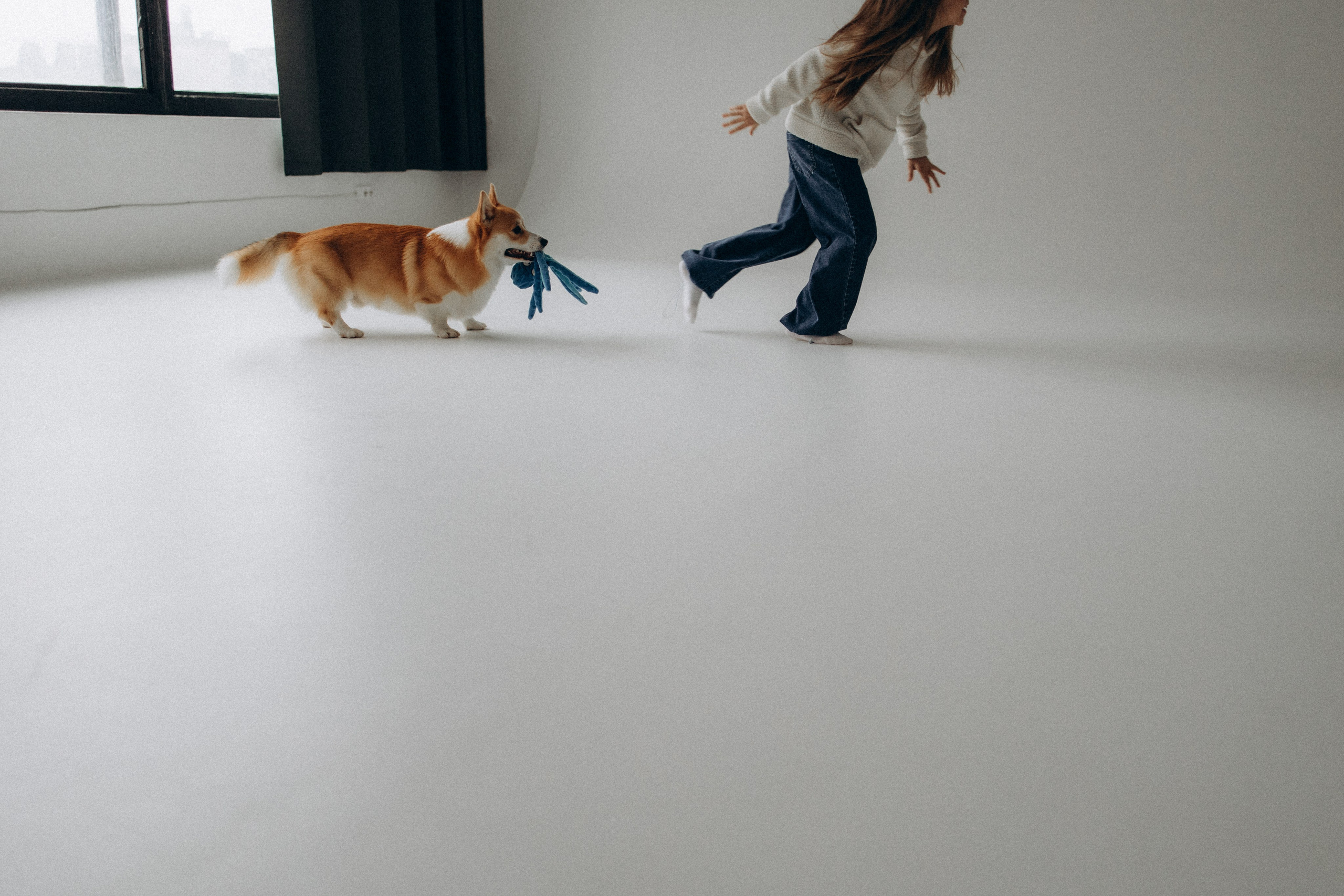 Зевс и его семья. Фотораф — анималист Мария Шистка
